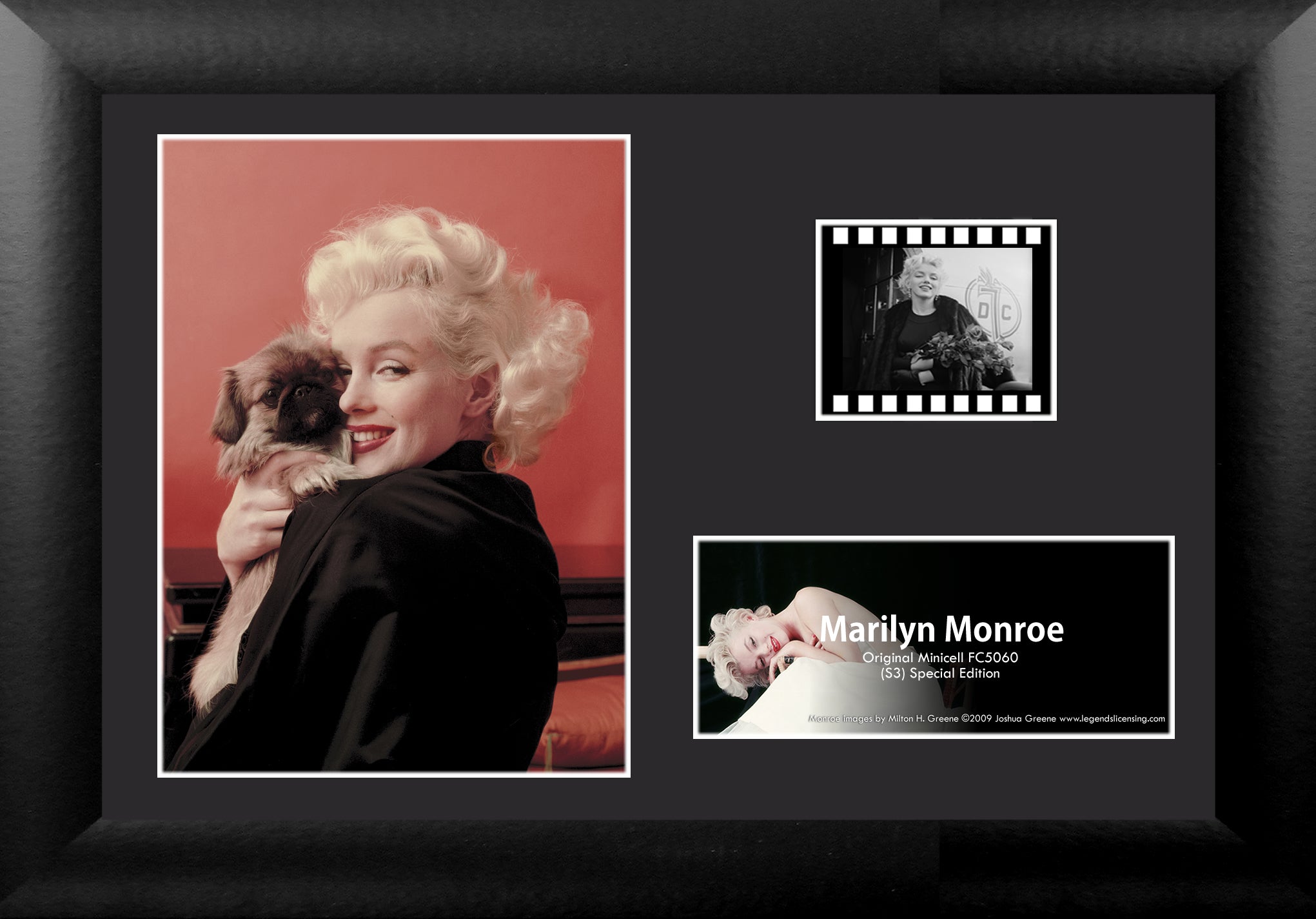 Marilyn Monroe (Pekinese Puppy) Minicell FilmCells Presentation with Easel Stand USFC5060