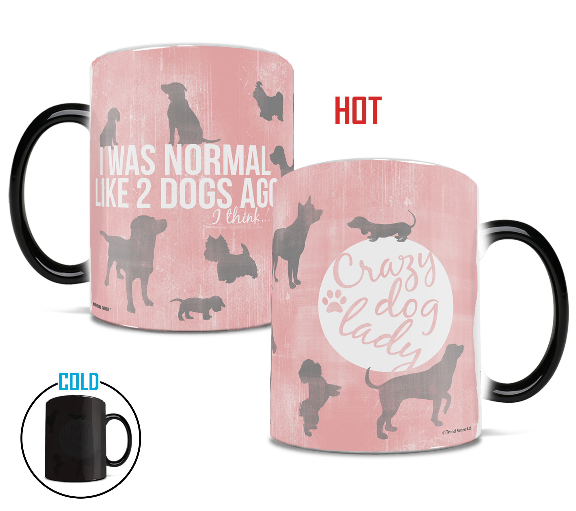Pet Collection (Crazy Dog Lady) Morphing Mugs® Heat-Sensitive Mug MMUG354