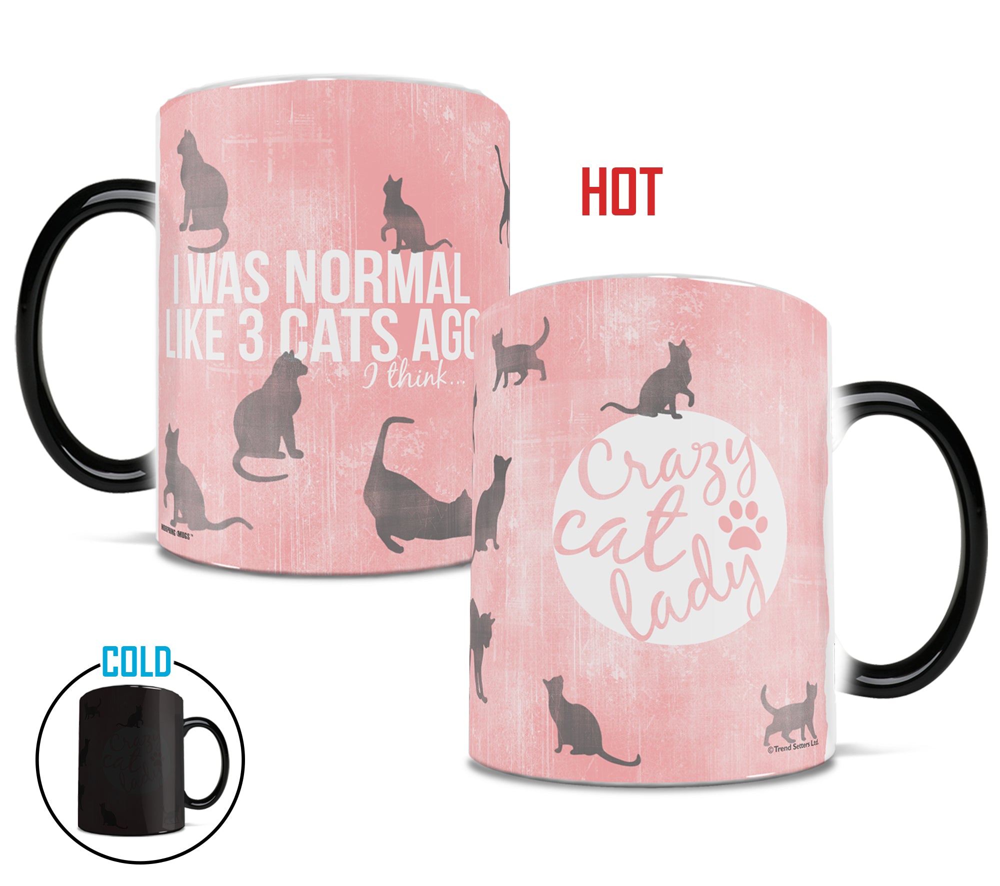 Pet Collection (Crazy Cat Lady) Morphing Mugs® Heat-Sensitive Mug MMUG355