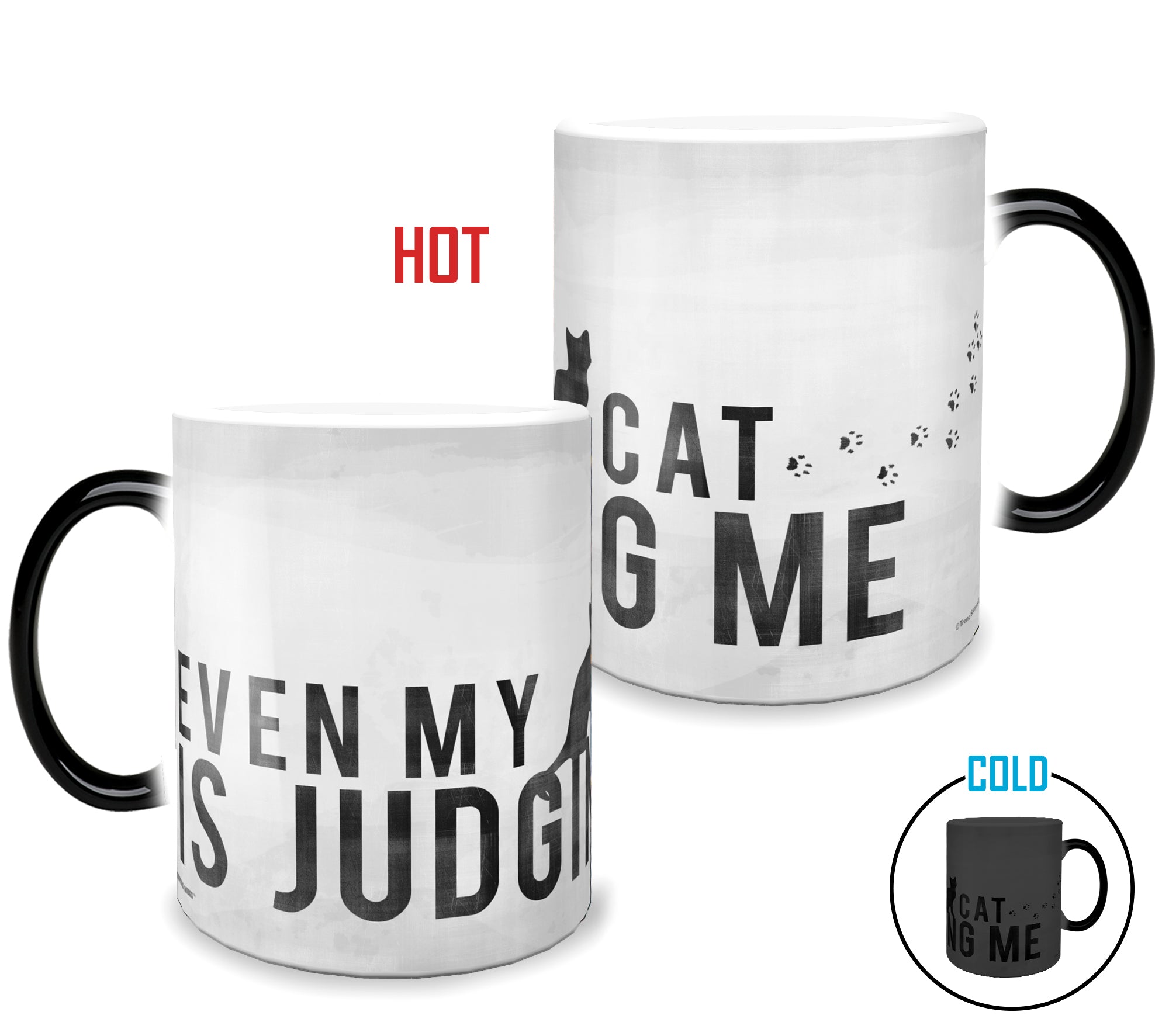 Pet Collection (Judg Mental Cat) Morphing Mugs® Heat-Sensitive Mug MMUG358