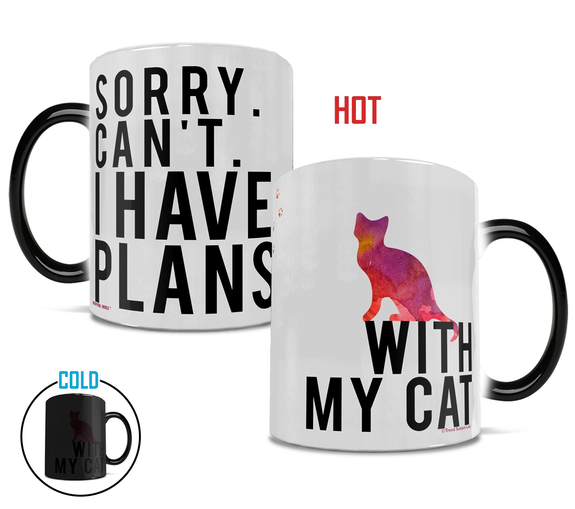 Pet Collection (Cat Plans) Morphing Mugs® Heat-Sensitive Mug MMUG359