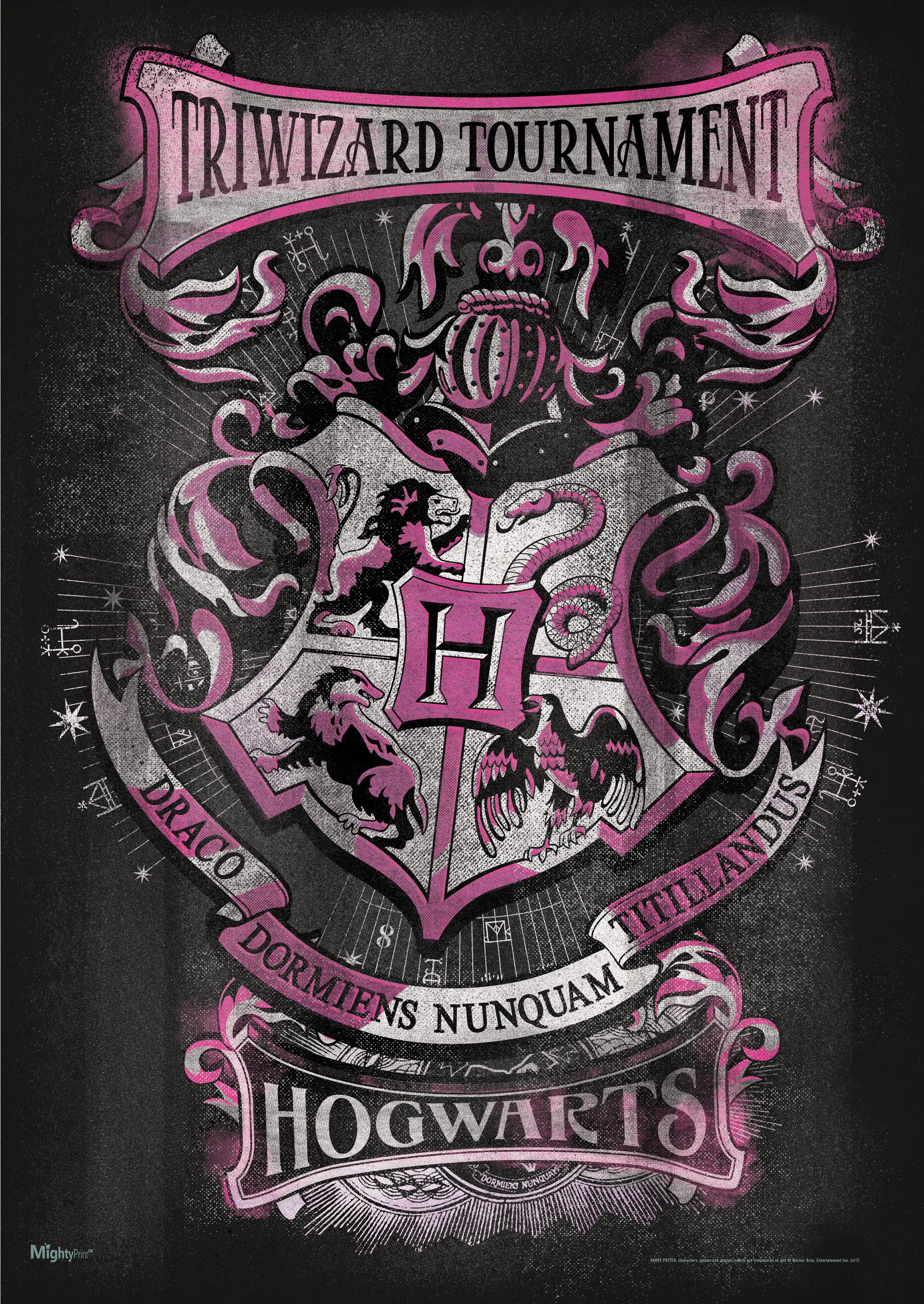 Harry Potter (Tri-Wizard - Hogwarts) MightyPrint™ Wall Art MP17240360