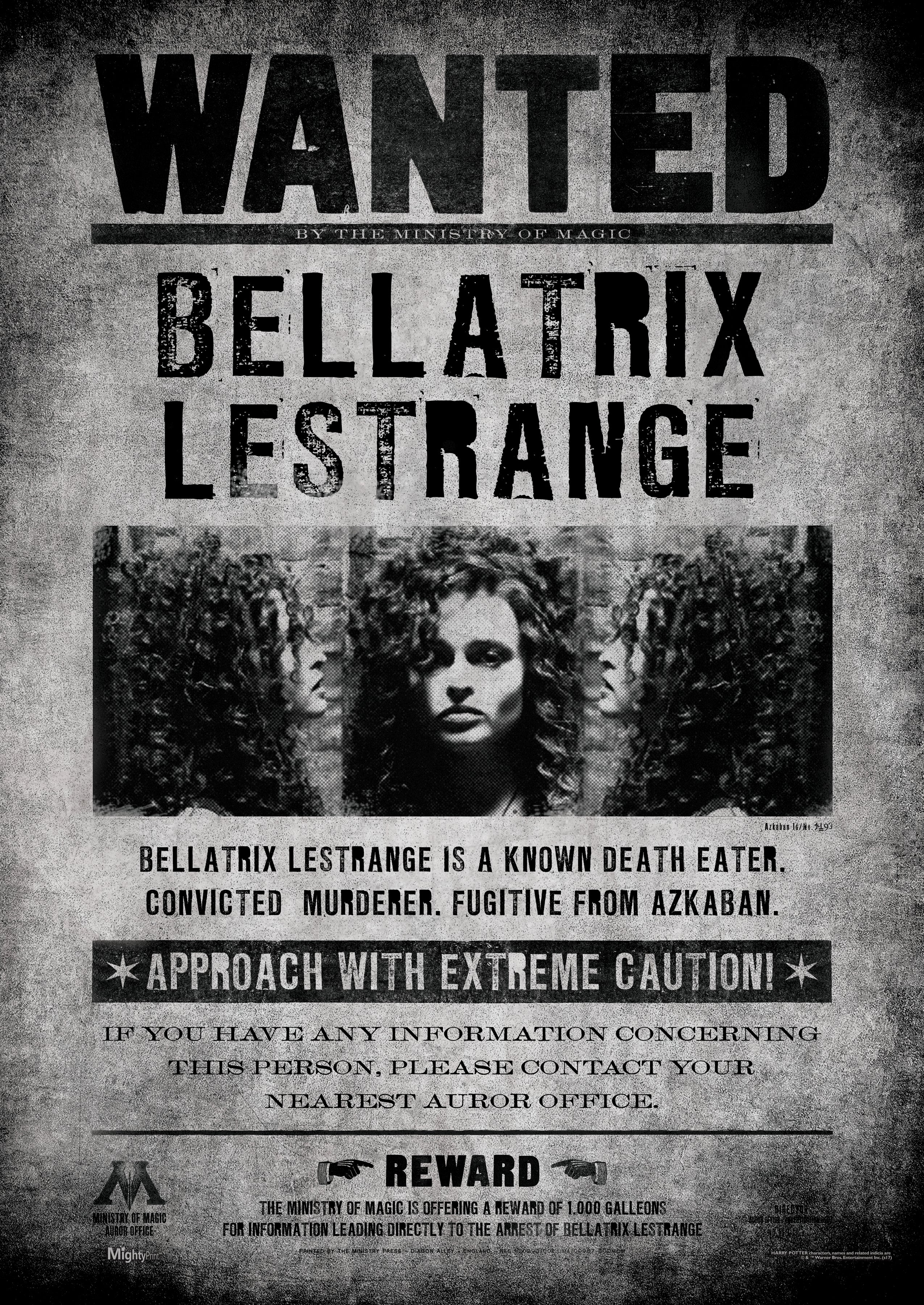 Harry Potter (Wanted Bellatrix Lestrange) MightyPrint™ Wall Art MP17240363
