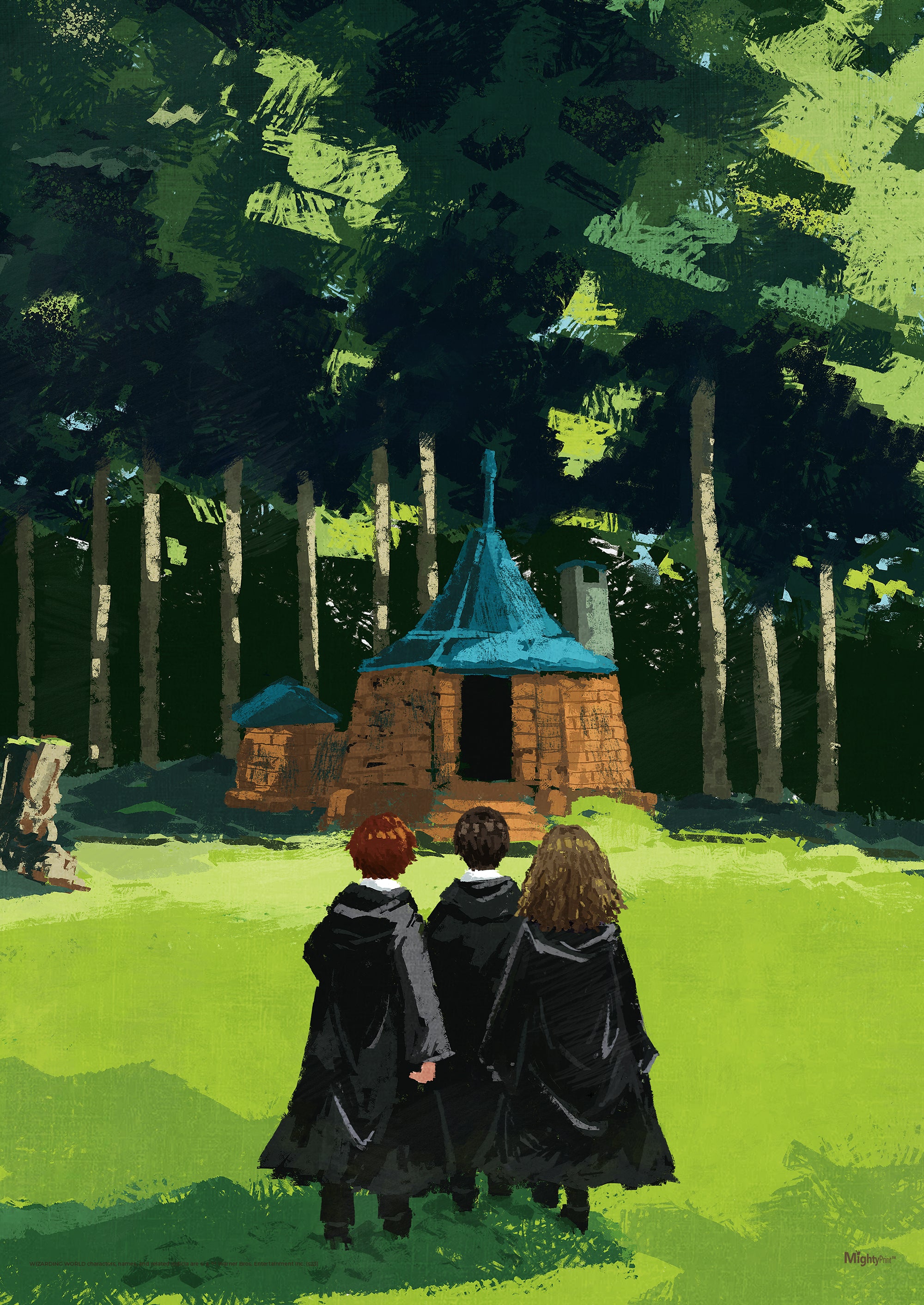 Harry Potter (Trio Visits Hagrids Hut) MightyPrint™ Wall Art MP17240891