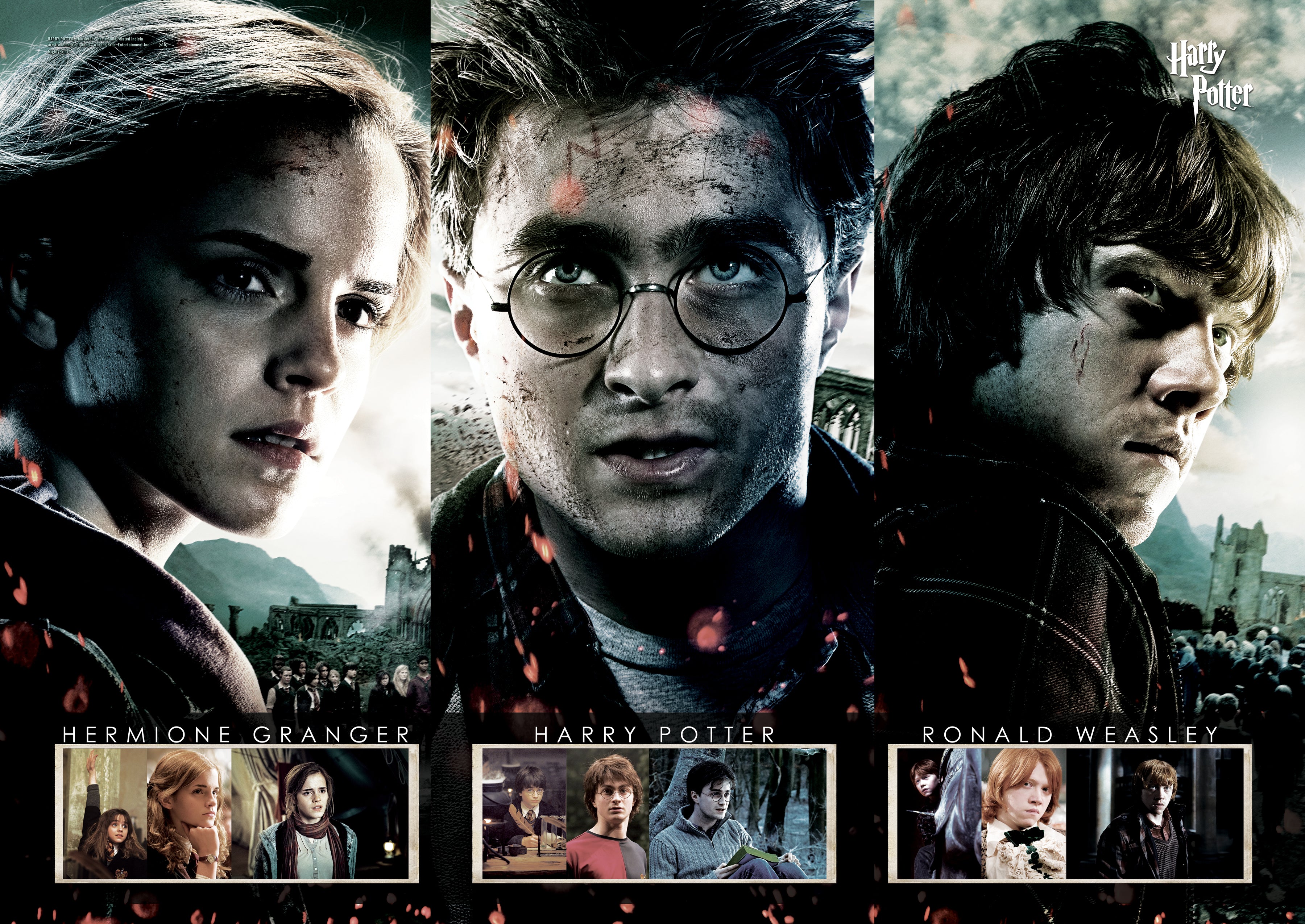 Harry Potter (Beginning to End) MightyPrint™ Wall Art MP24170124