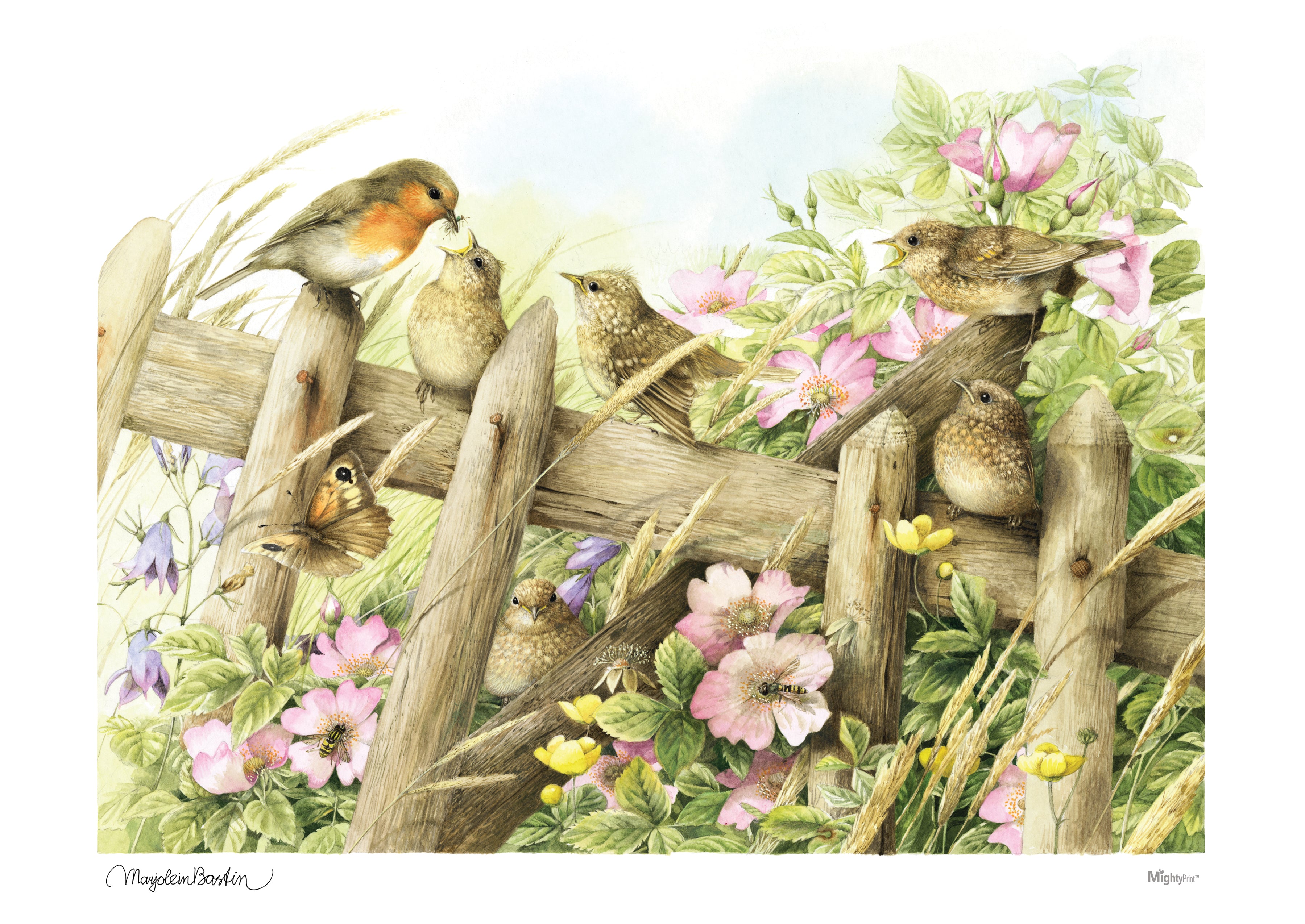 Marjolein Bastin (Baby Birds in Spring) MightyPrint™ Wall Art MP24170400