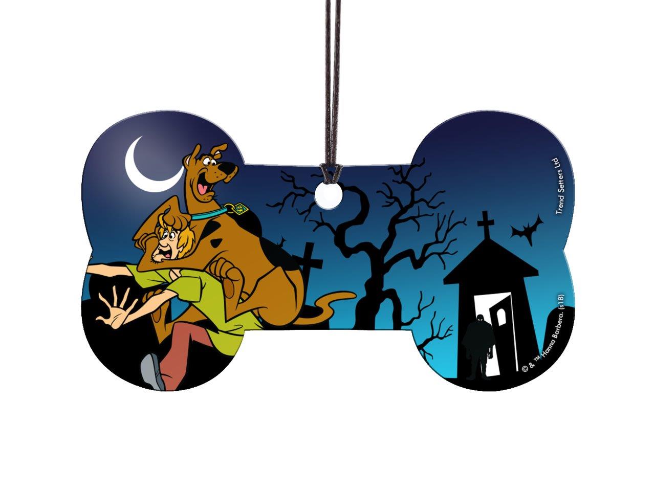 Scooby-Doo (Graveyard Danger) Hanging Acrylic Print ACPBONE339