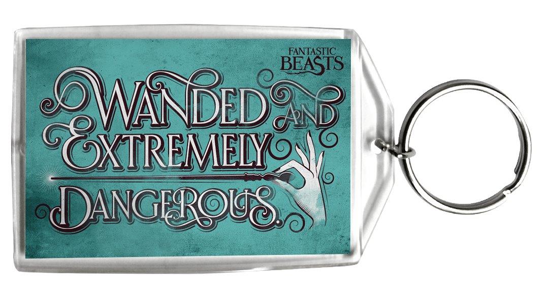 Fantastic Beasts and Where to Find Them (Wanded and Dangerous) Keychain KRP003