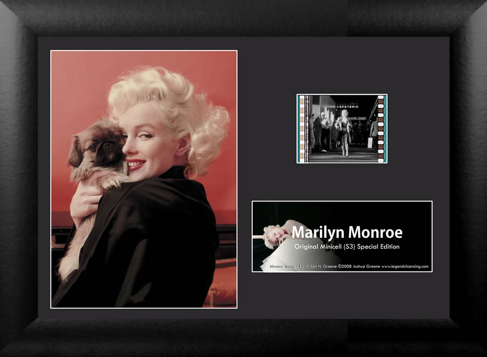 Marilyn Monroe (Dog) Minicell FilmCells Framed Desktop Presentation USFC5060