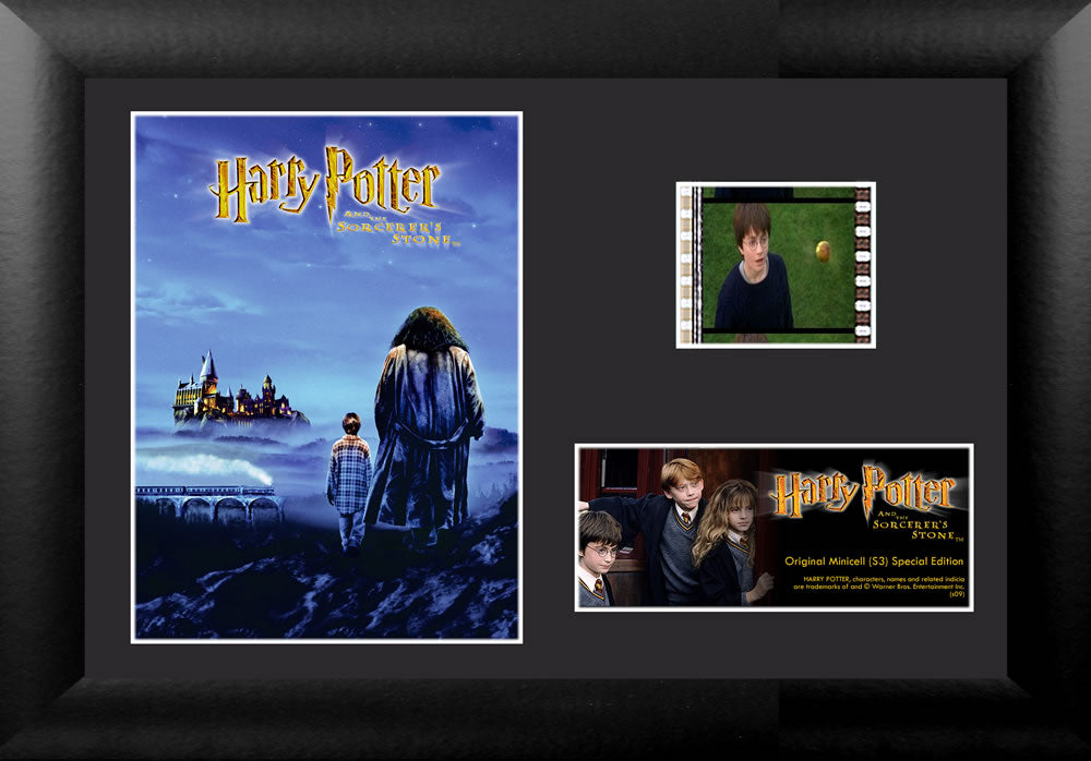 Harry Potter and the Sorcerers Stone (Hagrid) Minicell FilmCells Framed Desktop Presentation USFC5065