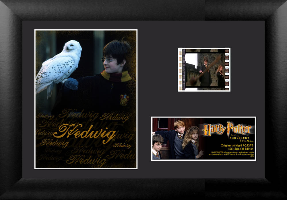 Harry Potter and the Sorcerers Stone (Hedwig) Minicell FilmCells Framed Desktop Presentation USFC5279