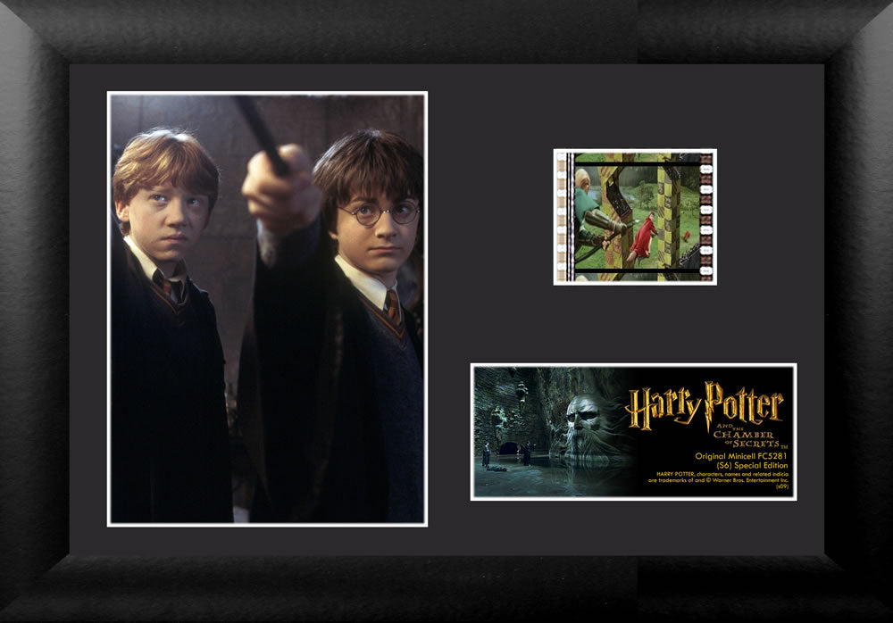 Harry Potter and the Chamber of Secrets (Ron and Harry) Minicell FilmCells Framed Desktop Presentation USFC5281