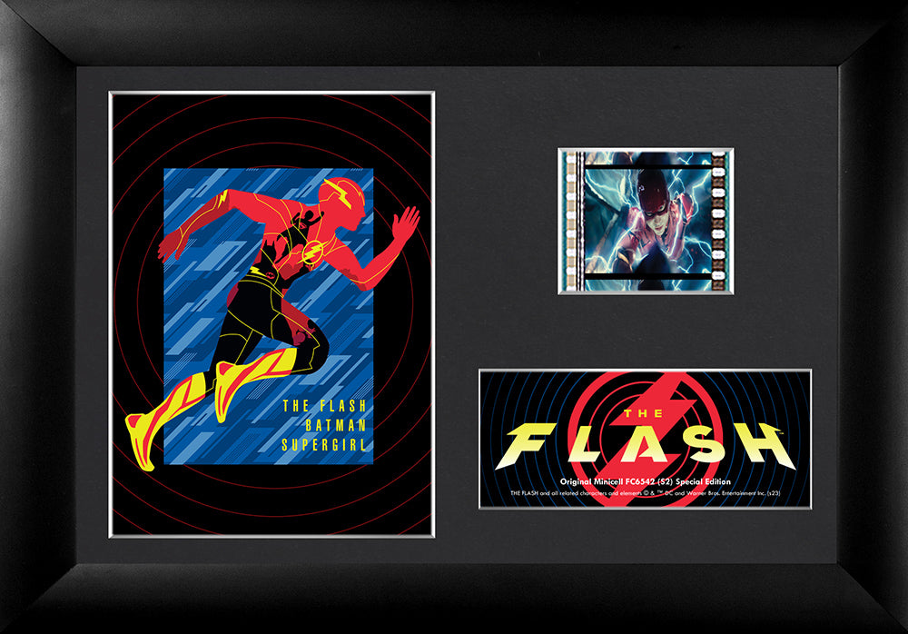 The Flash Movie (Animated Icons) Minicell FilmCells Framed Desktop Presentation USFC6542