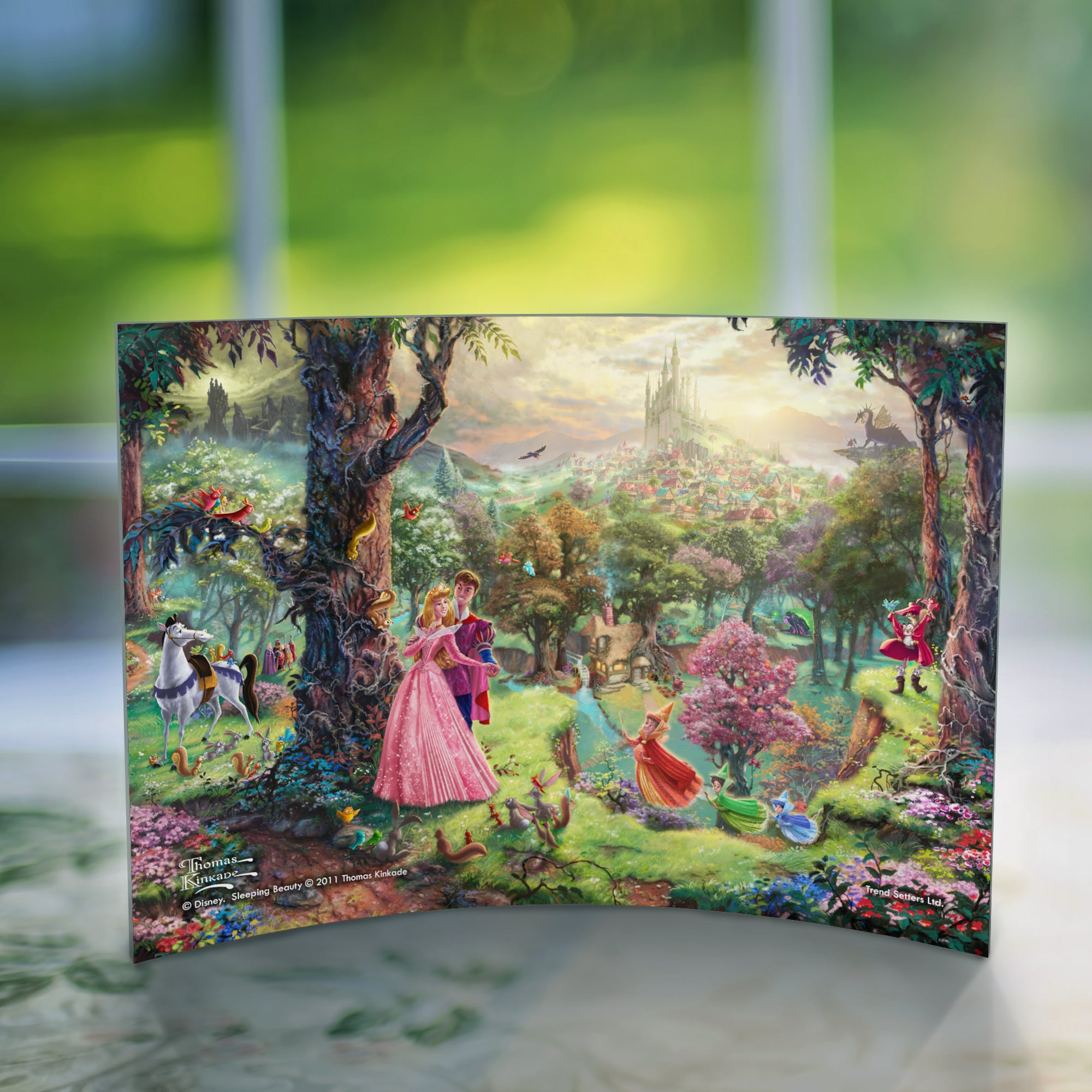 Disney (Sleeping Beauty ) 10" x 7" Curved Acrylic Print ACP1007CUR101