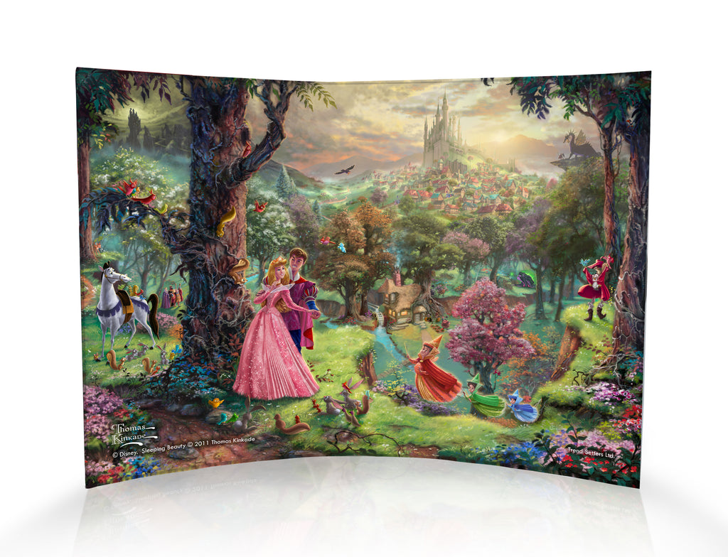 Disney (Sleeping Beauty ) 10