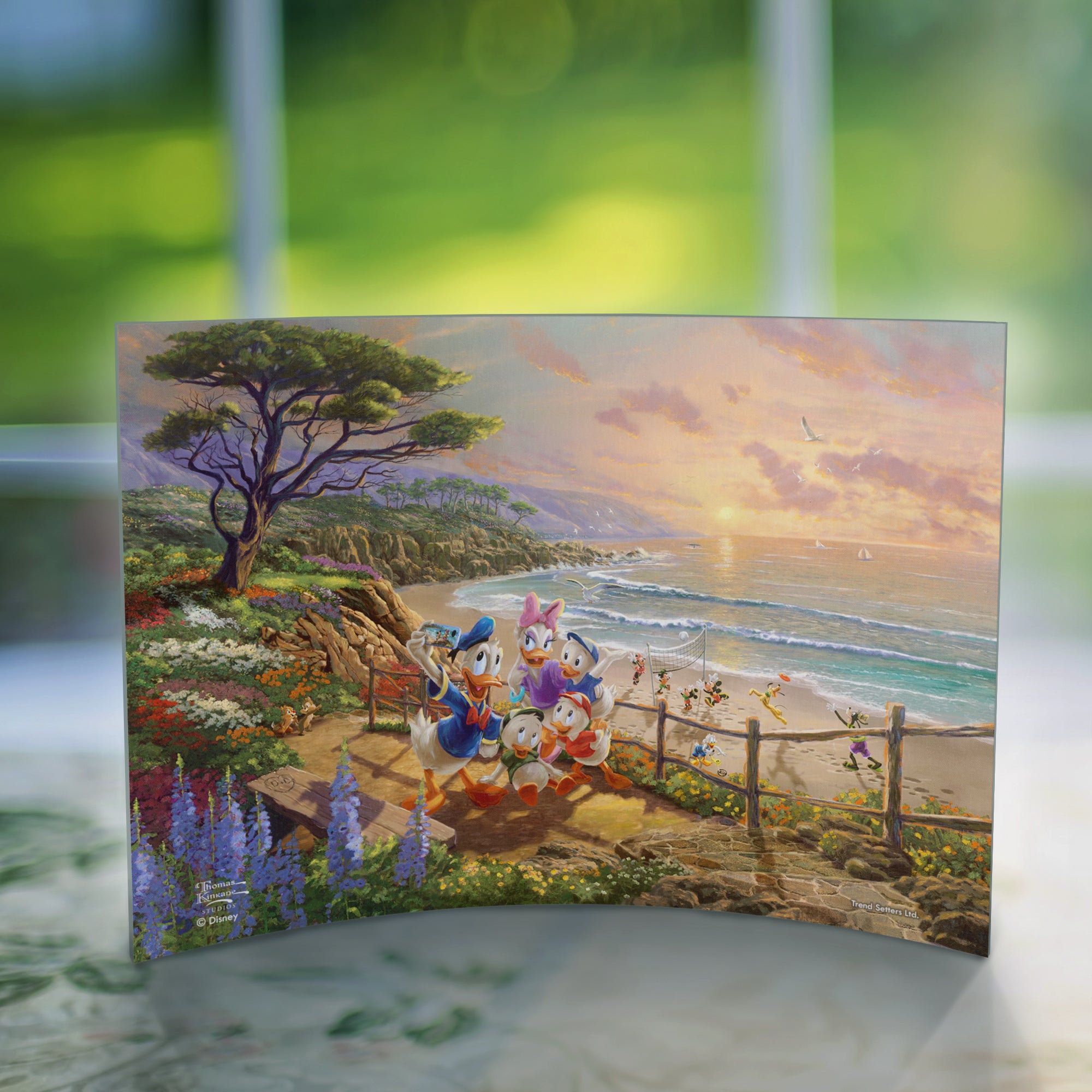 Disney (Donald and Daisy Duck - A Duck Day Afternoon) 10" x 7" Curved Acrylic Print ACP1007CUR616