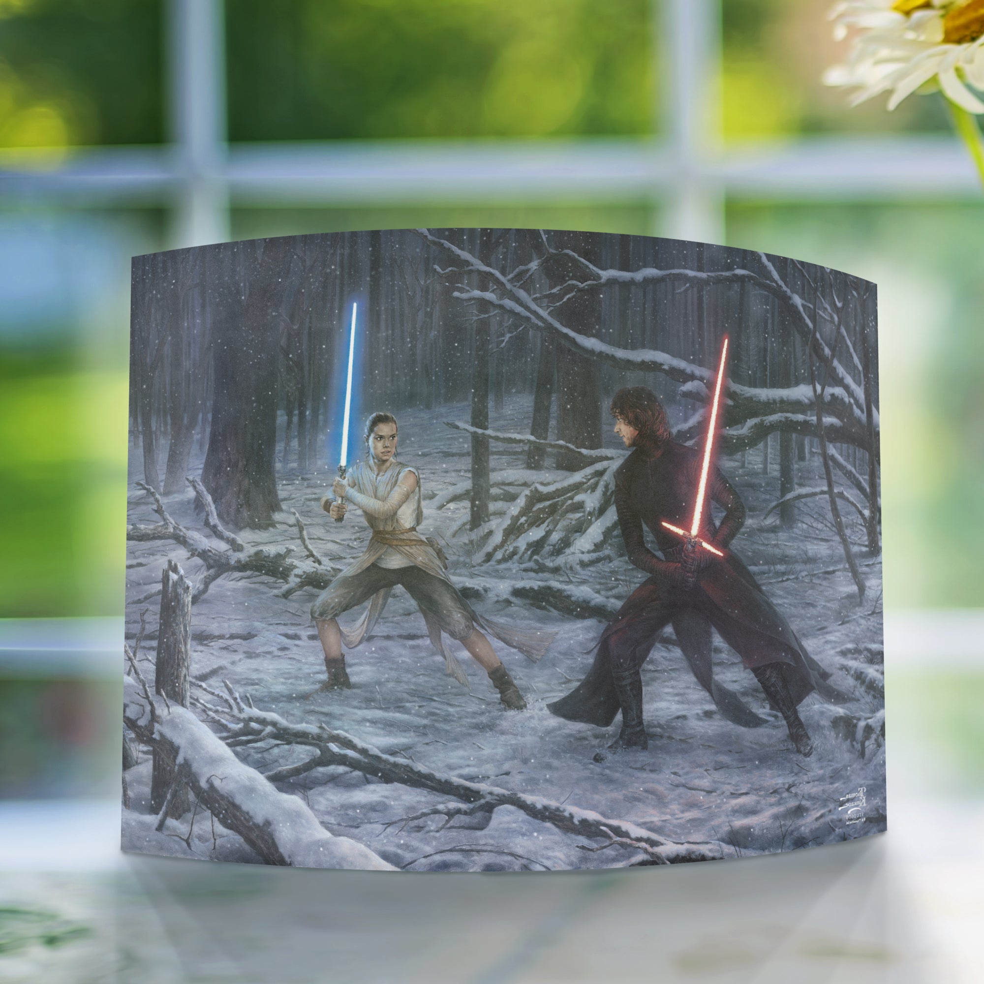 Star Wars (The Duel Rey vs. Ren) 10" x 7" Curved Acrylic Print ACP1007CUR625