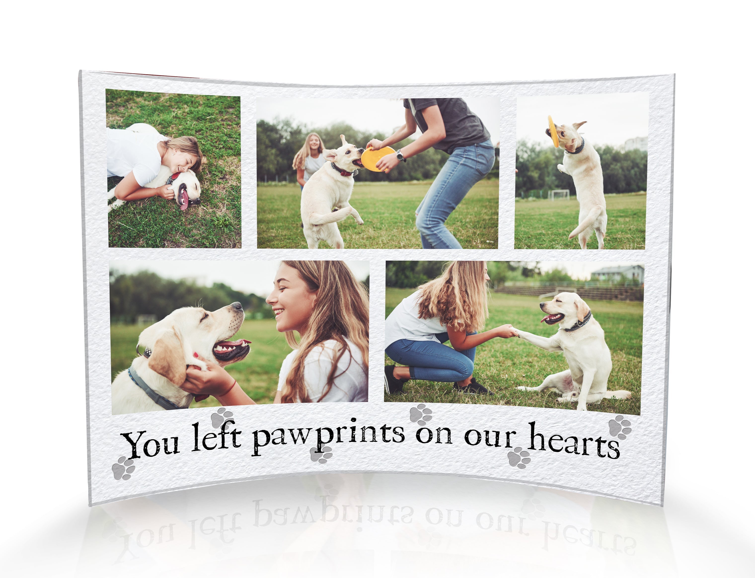 Memorial Collection (Personalized Paw Prints on Our Hearts) 10” x 7” Curved Acrylic Print