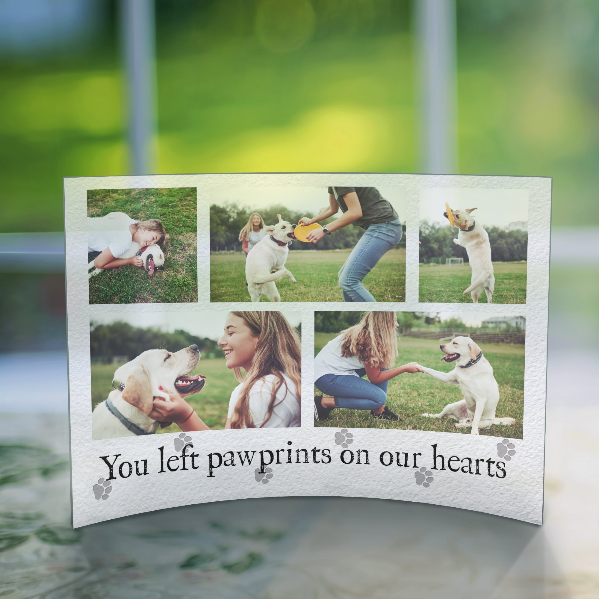 Memorial Collection (Personalized Paw Prints on Our Hearts) 10” x 7” Curved Acrylic Print