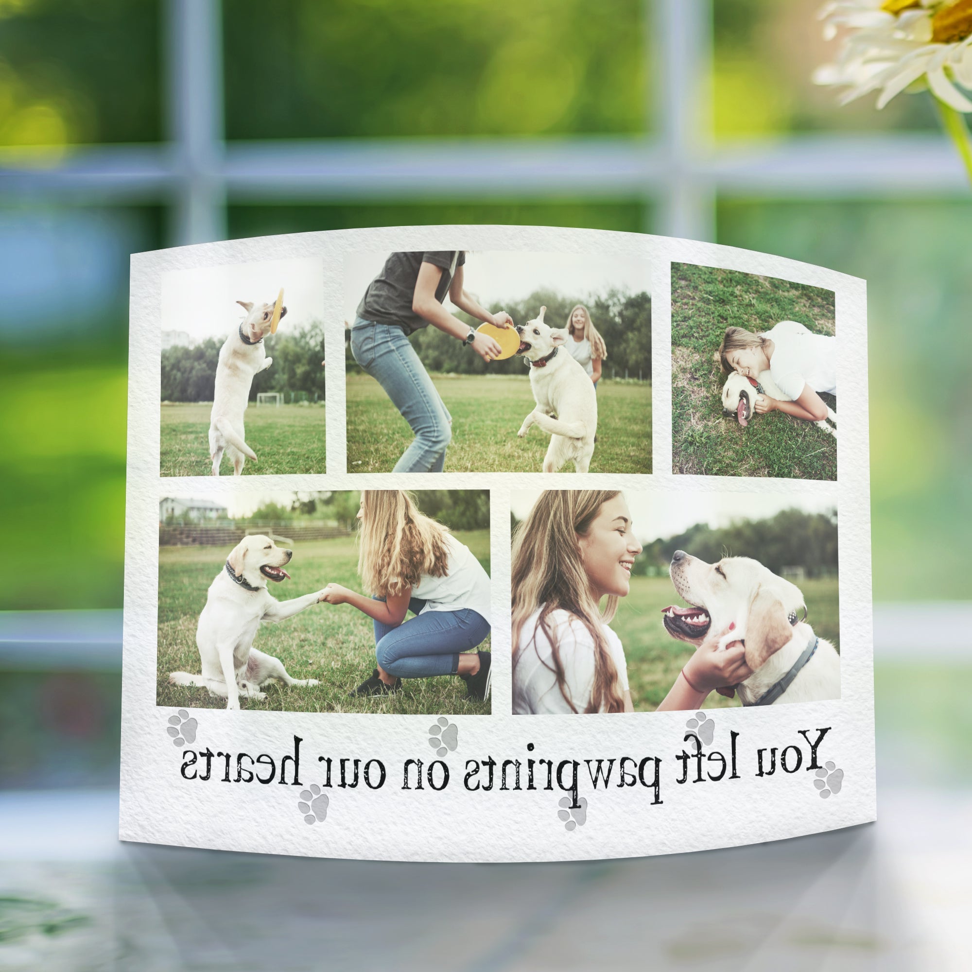 Memorial Collection (Personalized Paw Prints on Our Hearts) 10” x 7” Curved Acrylic Print