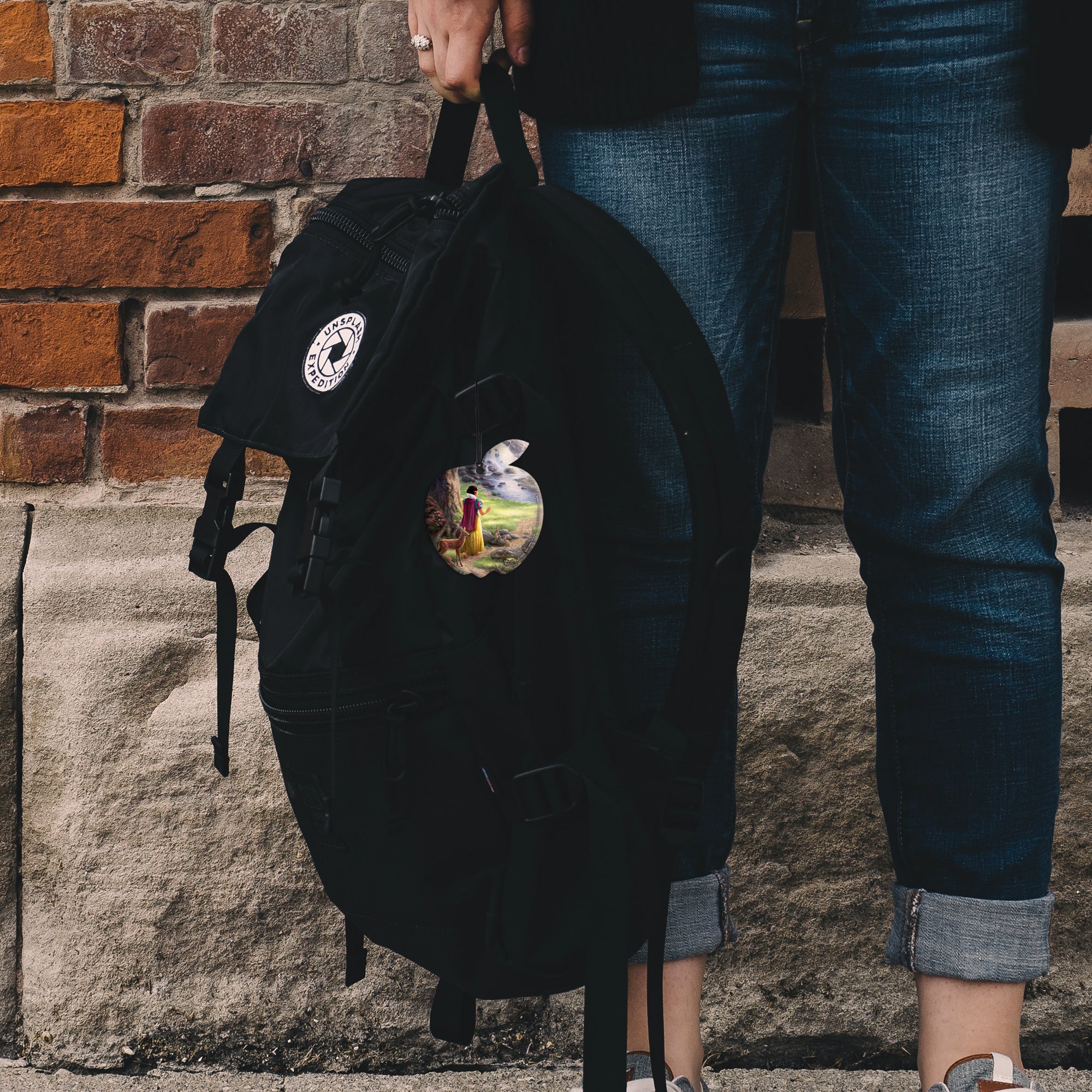 Disney (Snow White Discovers the Cottage) Hanging Acrylic Print ACPAPPLE194