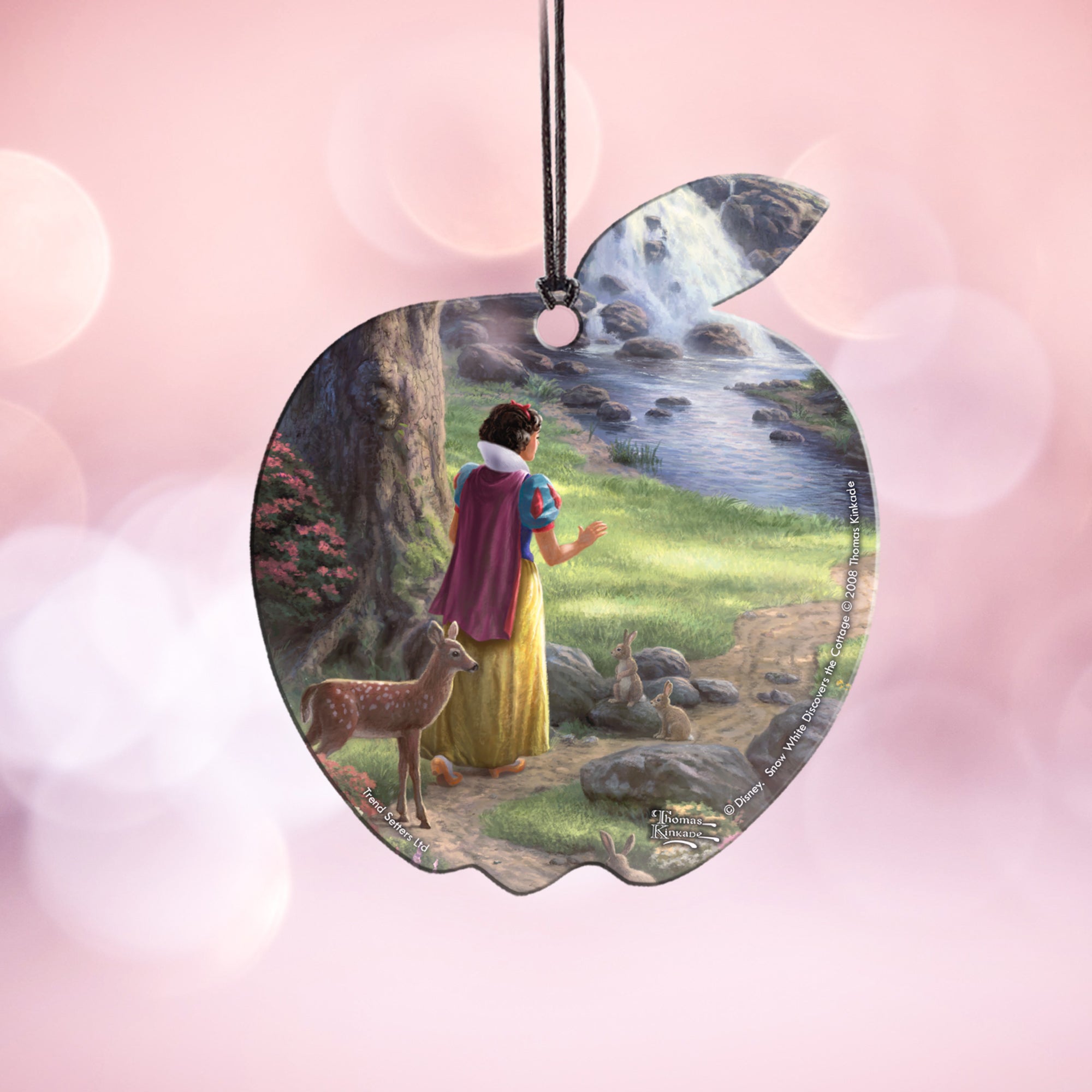 Disney (Snow White Discovers the Cottage) Hanging Acrylic Print ACPAPPLE194