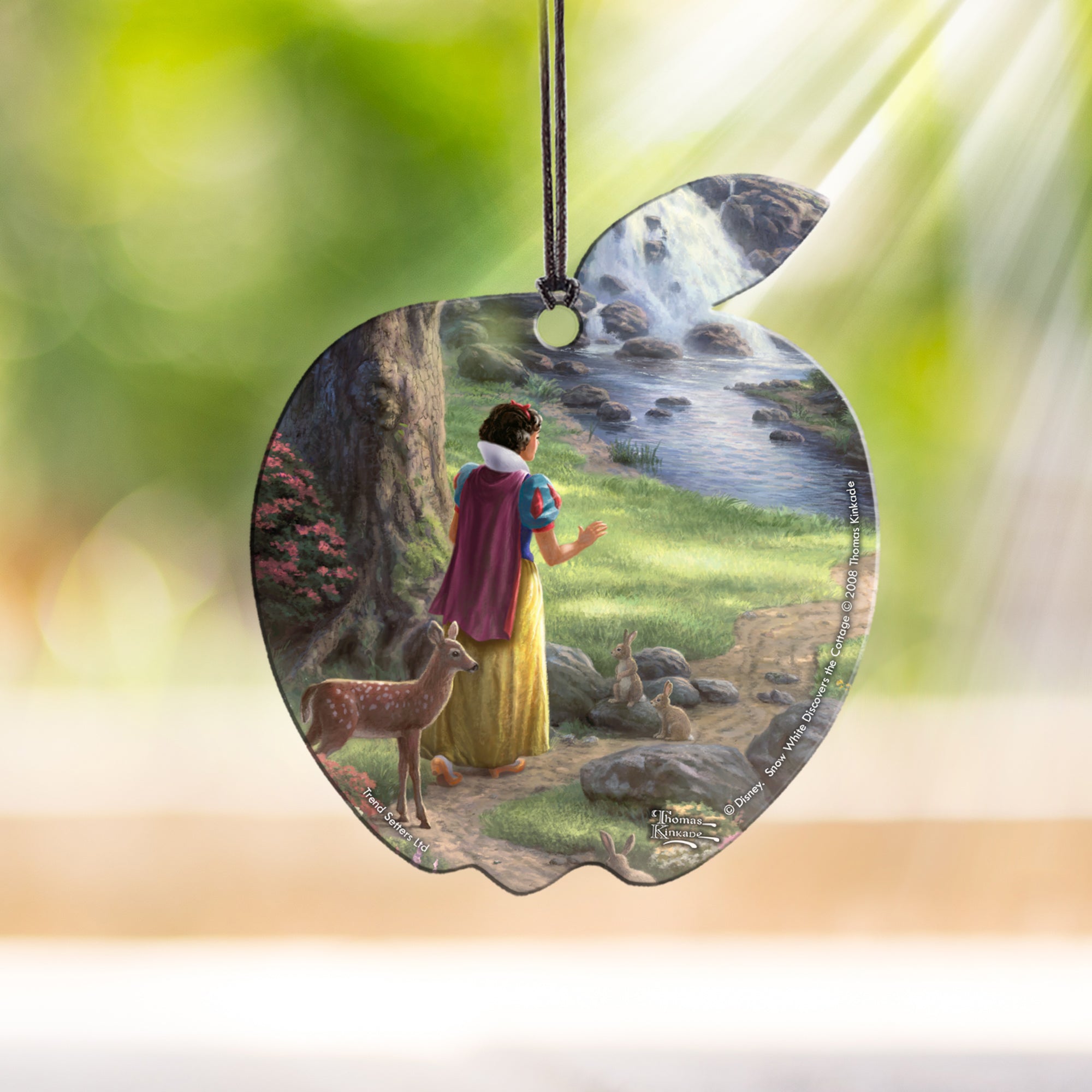 Disney (Snow White Discovers the Cottage) Hanging Acrylic Print ACPAPPLE194