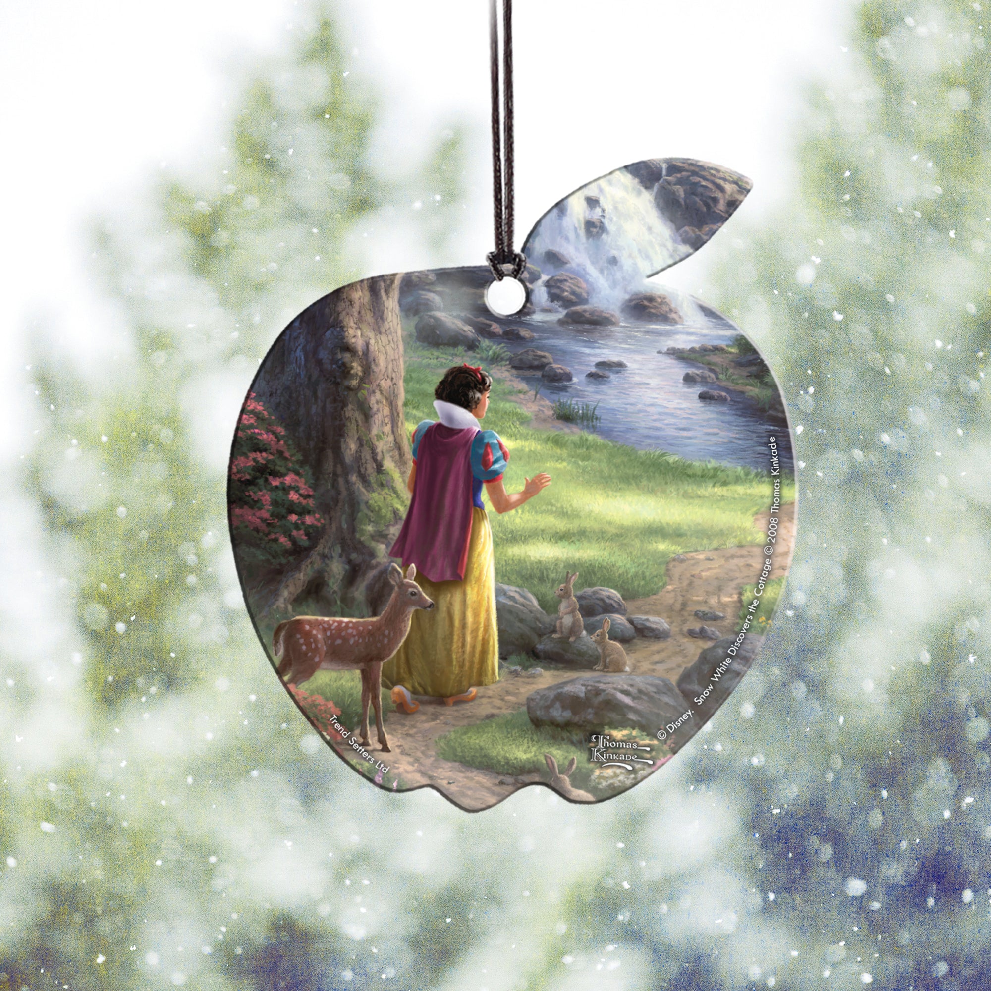 Disney (Snow White Discovers the Cottage) Hanging Acrylic Print ACPAPPLE194