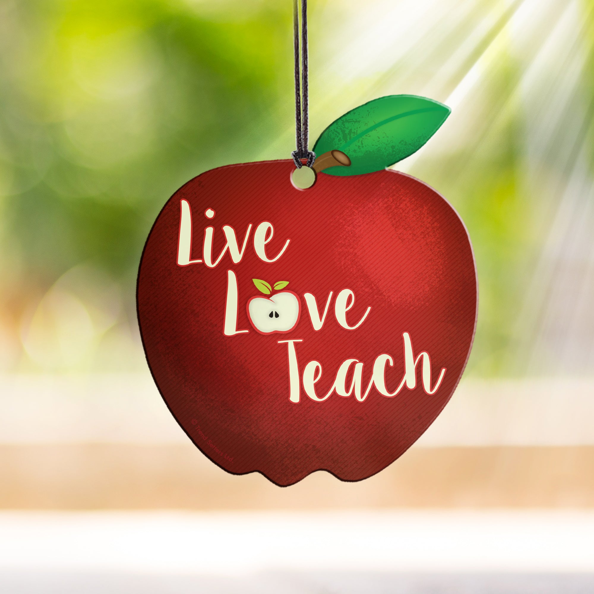 Career Collection (Live Love Teach) Hanging Acrylic Print ACPAPPLE298