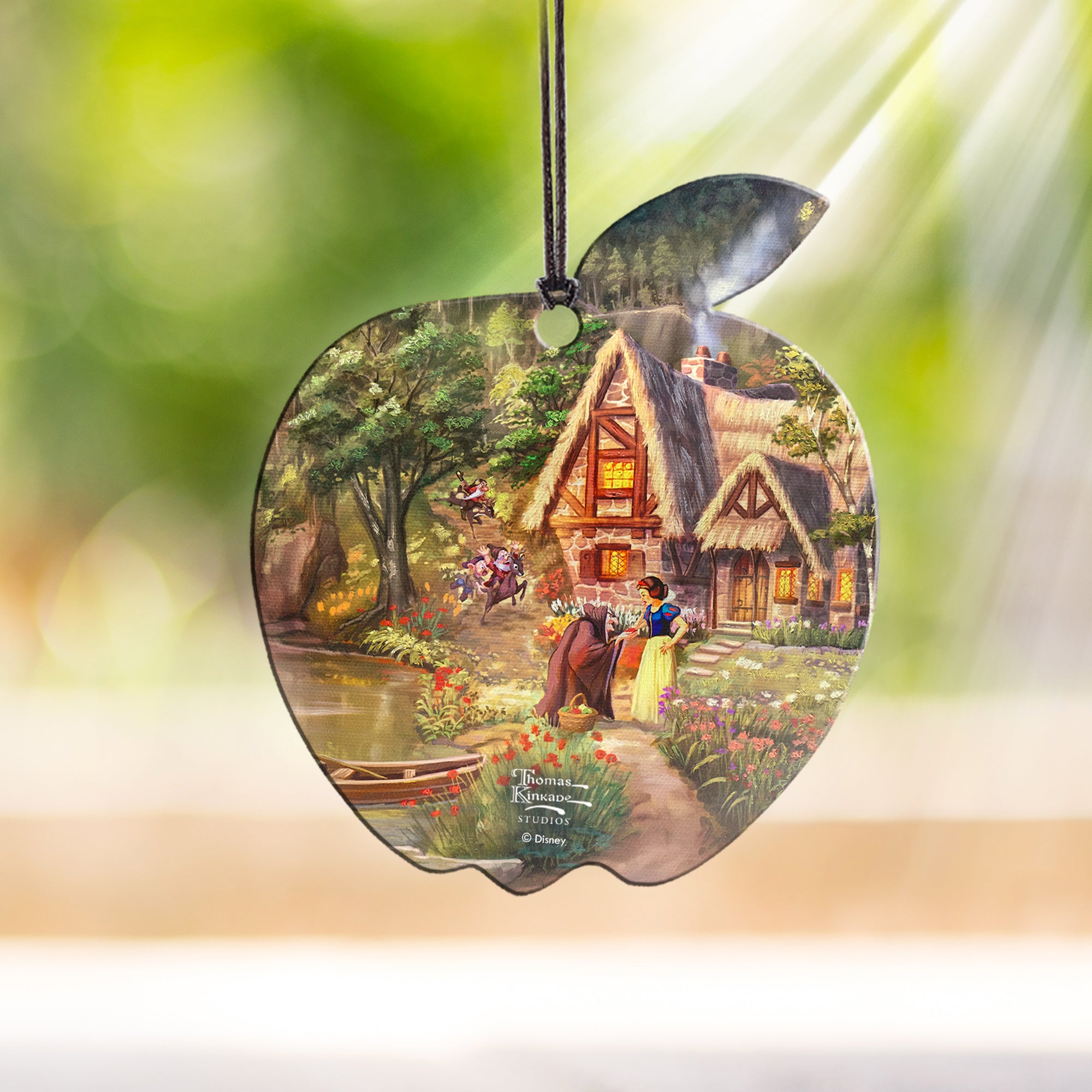 Disney (The Evil Queen) Hanging Acrylic Print ACPAPPLE787