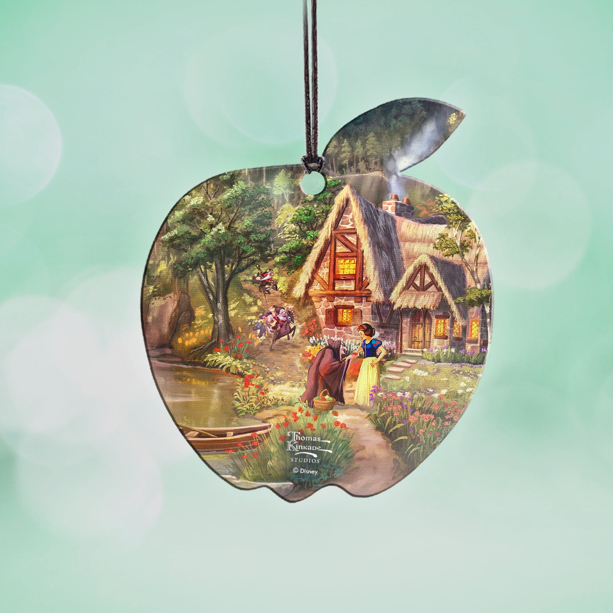 Disney (The Evil Queen) Hanging Acrylic Print ACPAPPLE787