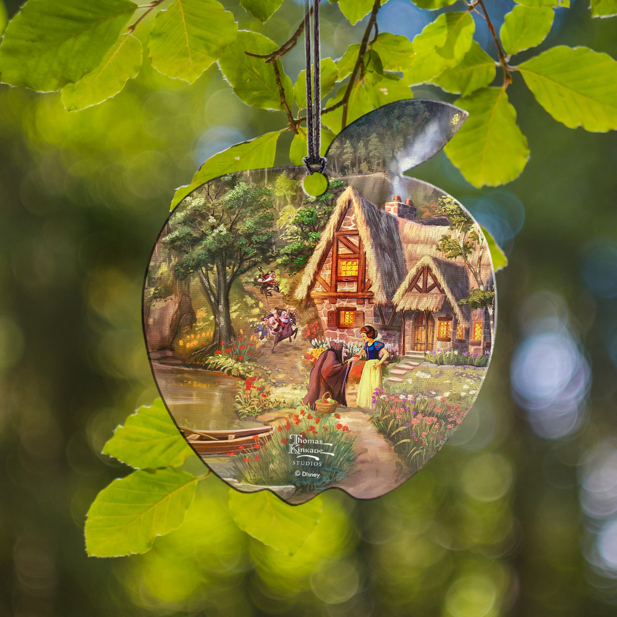 Disney (The Evil Queen) Hanging Acrylic Print ACPAPPLE787