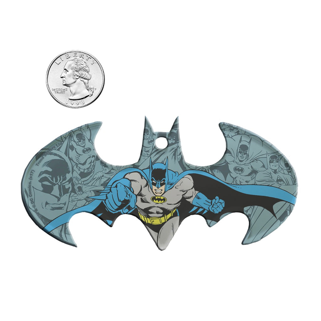 DC Comics (Batman Logo) Bat-Shaped Acrylic Print ACPBAT179
