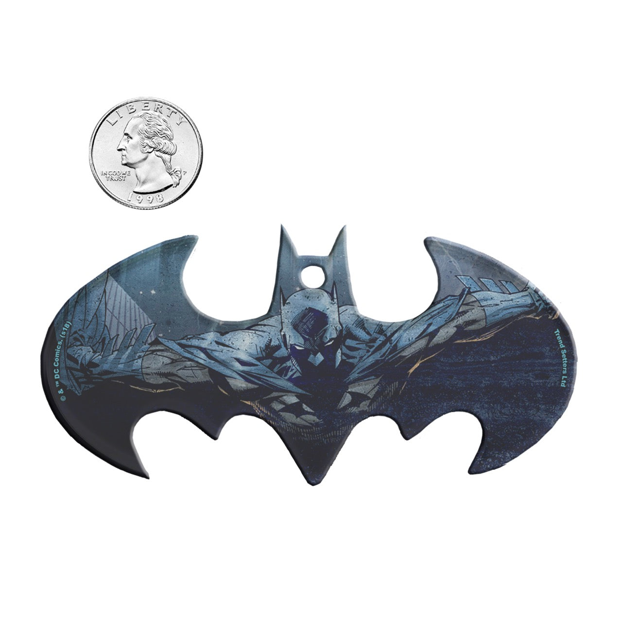 DC Comics (Batman - Taking Flight) Bat-Shaped Acrylic Print ACPBAT345