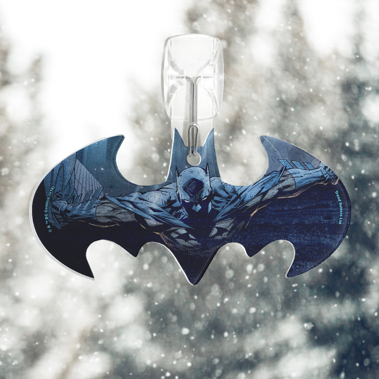 DC Comics (Batman - Taking Flight) Bat-Shaped Acrylic Print ACPBAT345