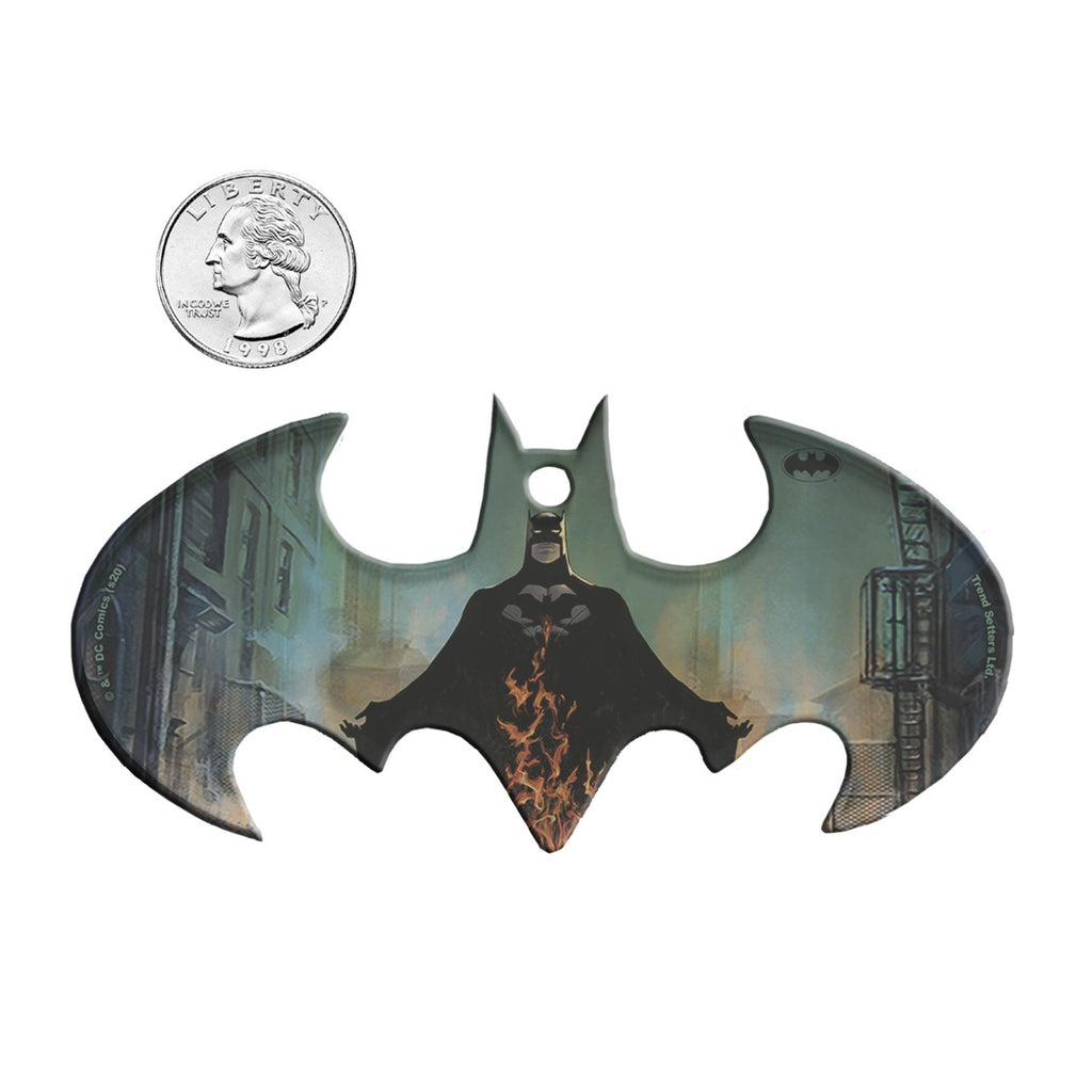 Batman: Arkham City (The Devil Of Gotham City) Bat-Shaped Acrylic Print ACPBAT608