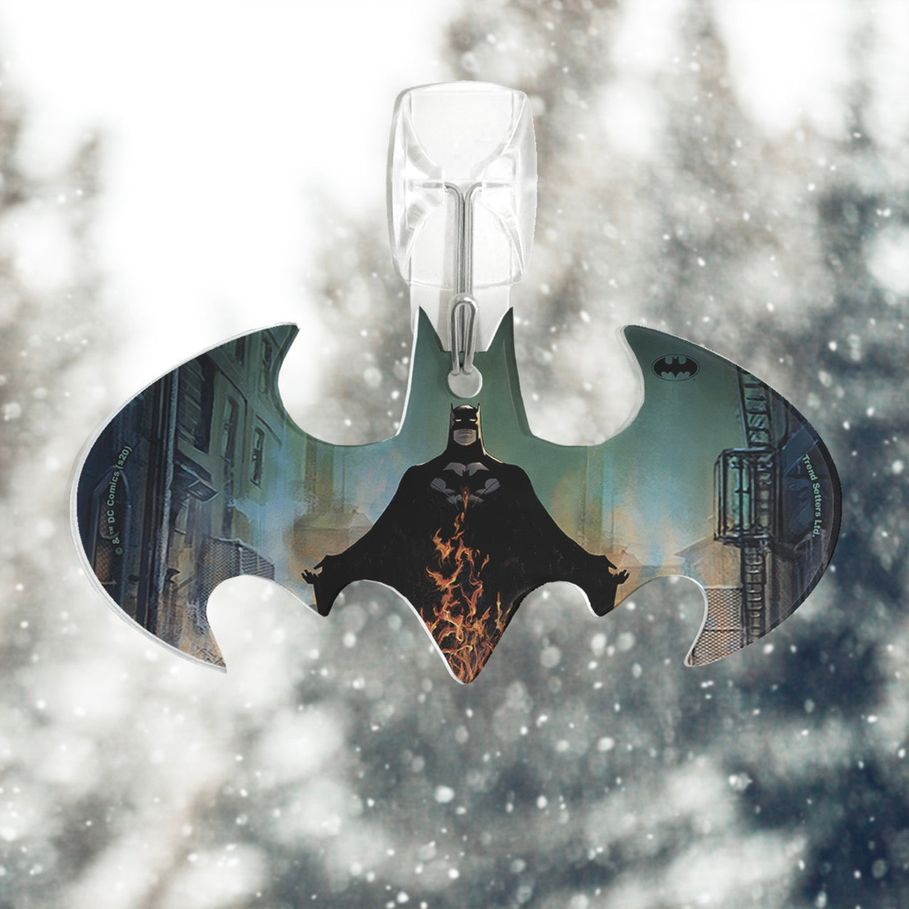 Batman: Arkham City (The Devil Of Gotham City) Bat-Shaped Acrylic Print ACPBAT608