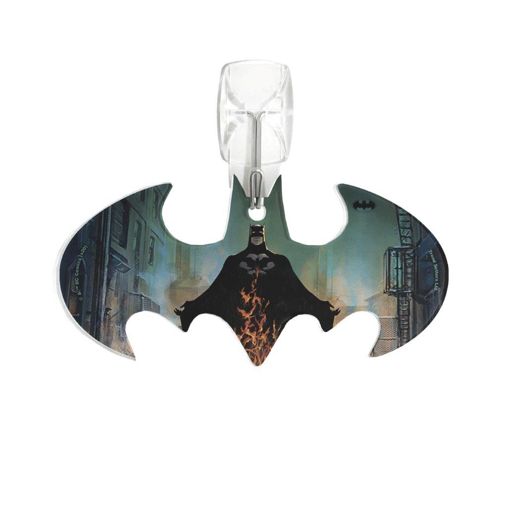 Batman: Arkham City (The Devil Of Gotham City) Bat-Shaped Acrylic Print ACPBAT608