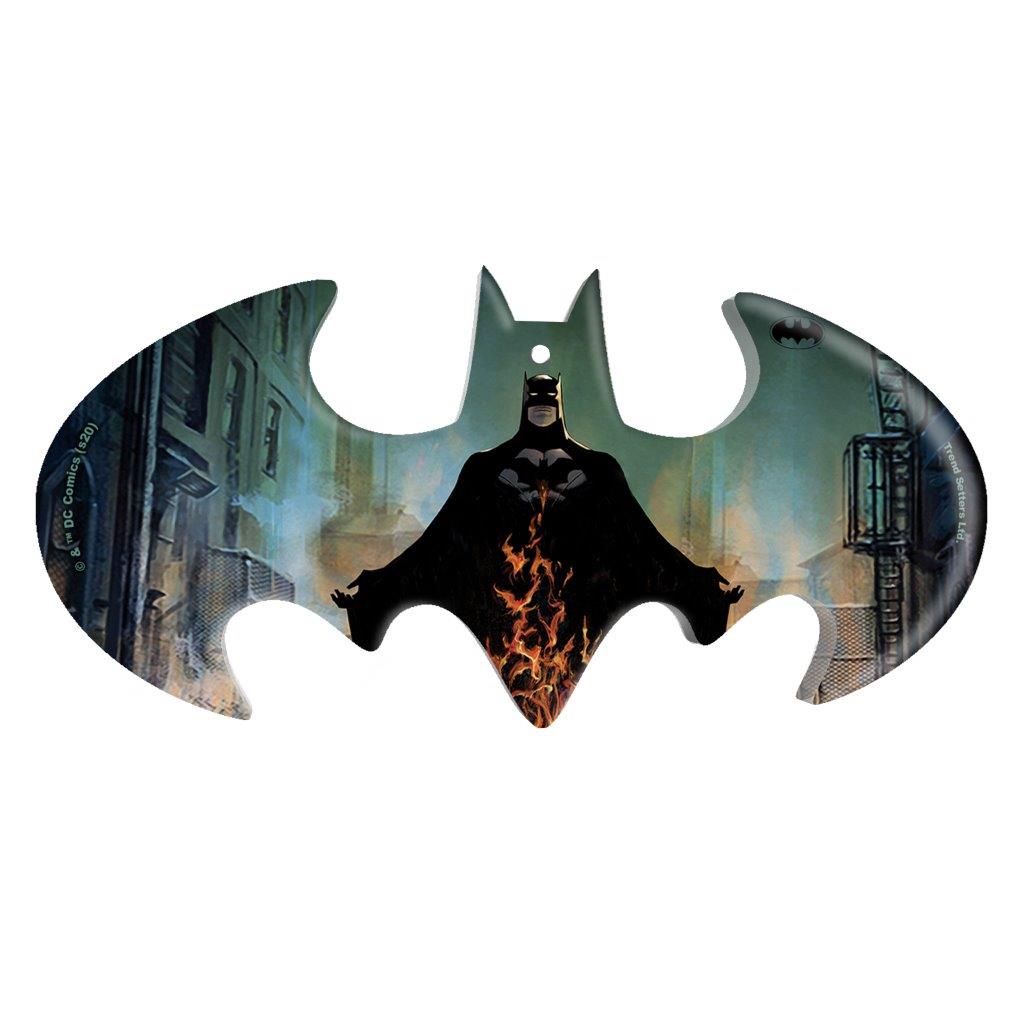 Batman: Arkham City (The Devil Of Gotham City) Bat-Shaped Acrylic Print ACPBAT608