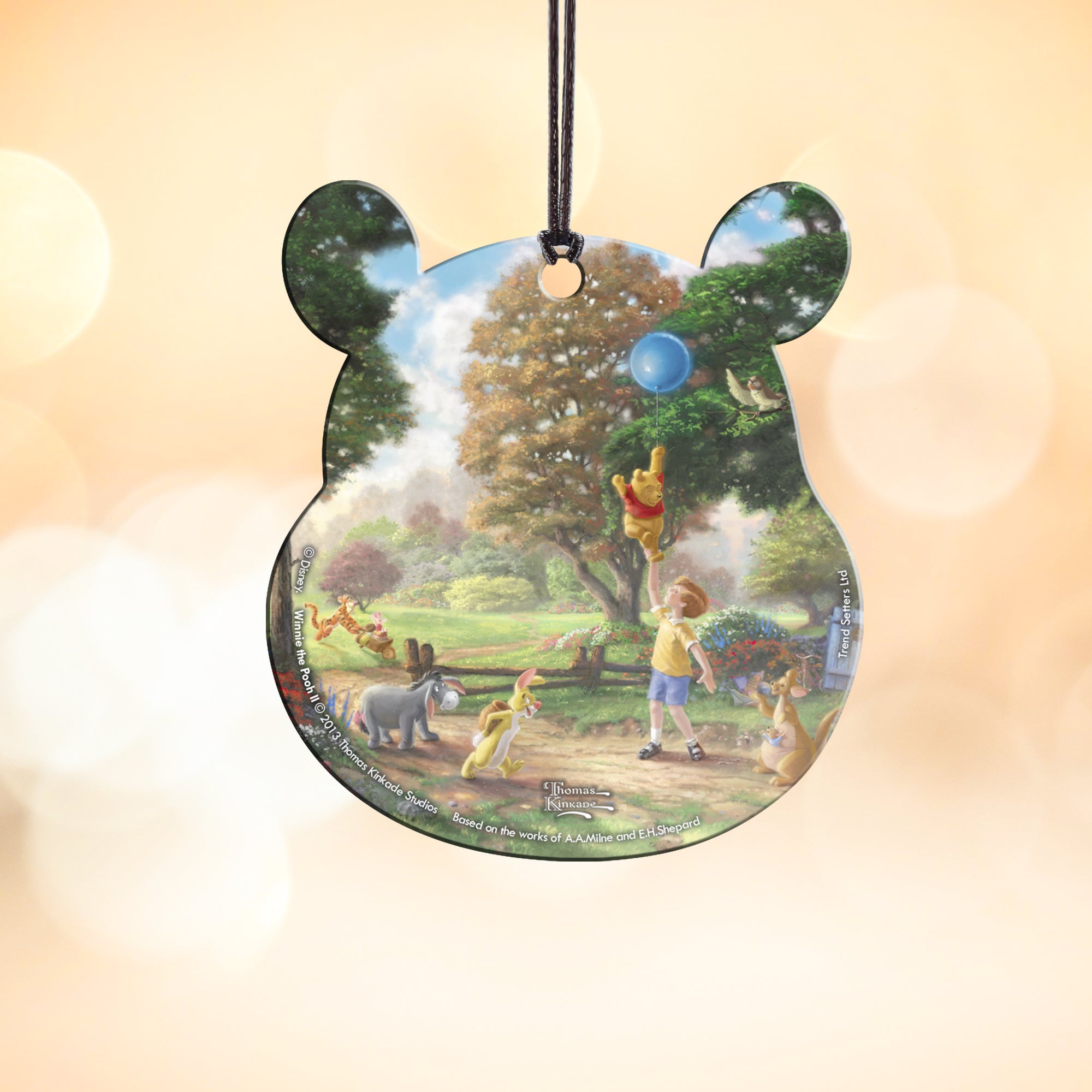 Disney (Winnie the Pooh II) Hanging Acrylic Print ACPBEAR382