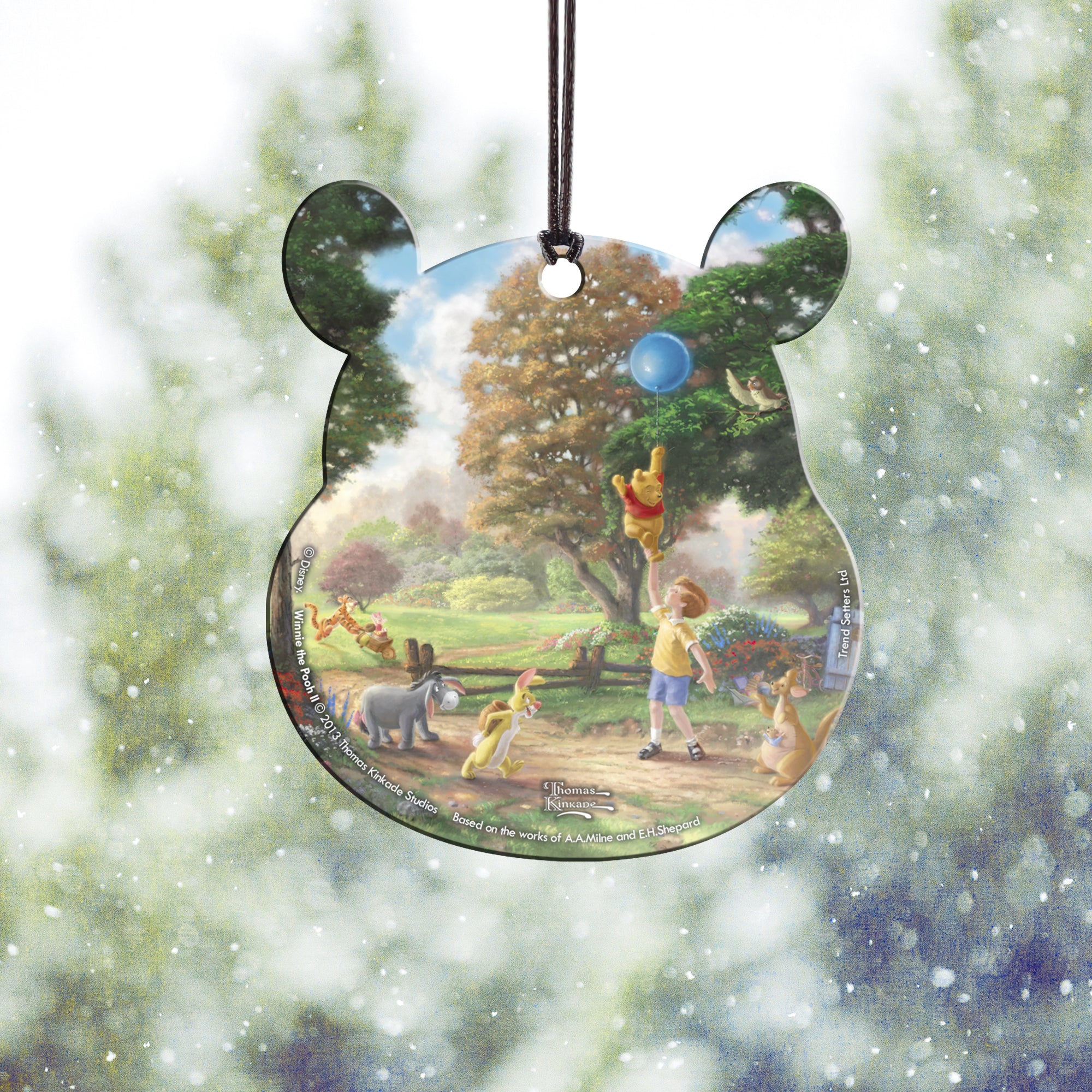 Disney (Winnie the Pooh II) Hanging Acrylic Print ACPBEAR382