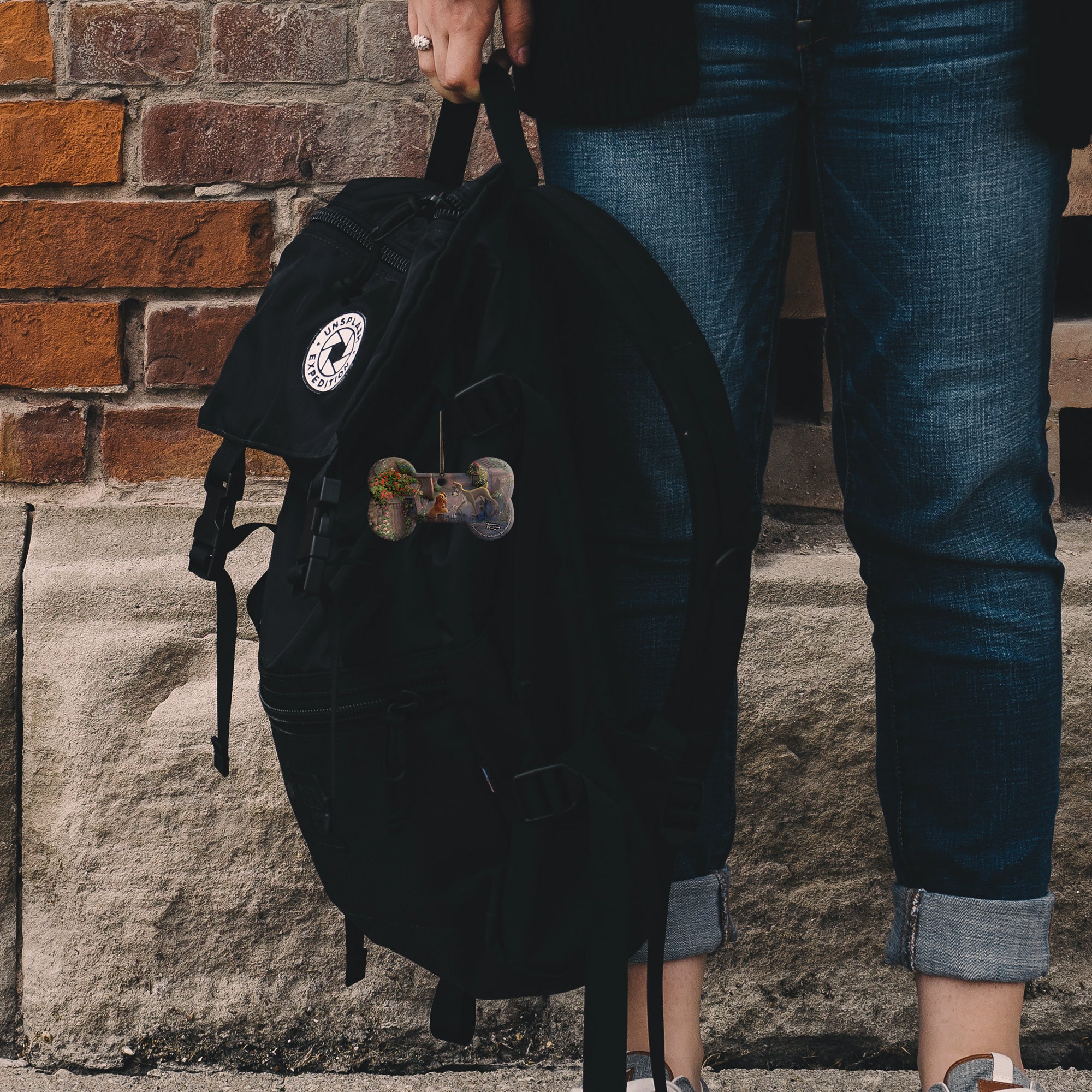 Disney (Lady and the Tramp) Hanging Acrylic Print ACPBONE189