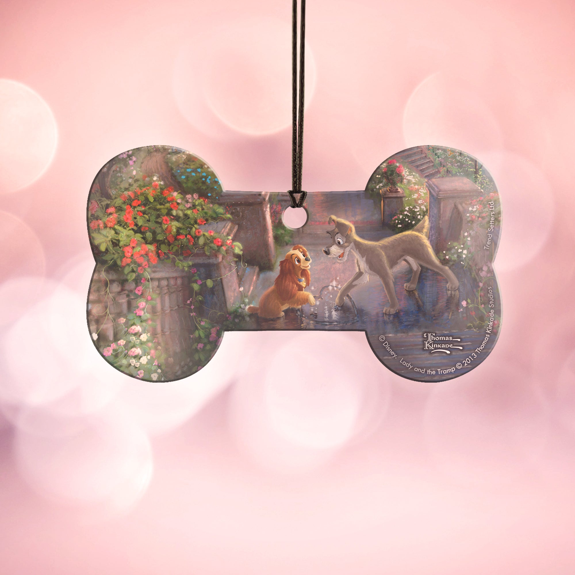 Disney (Lady and the Tramp) Hanging Acrylic Print ACPBONE189