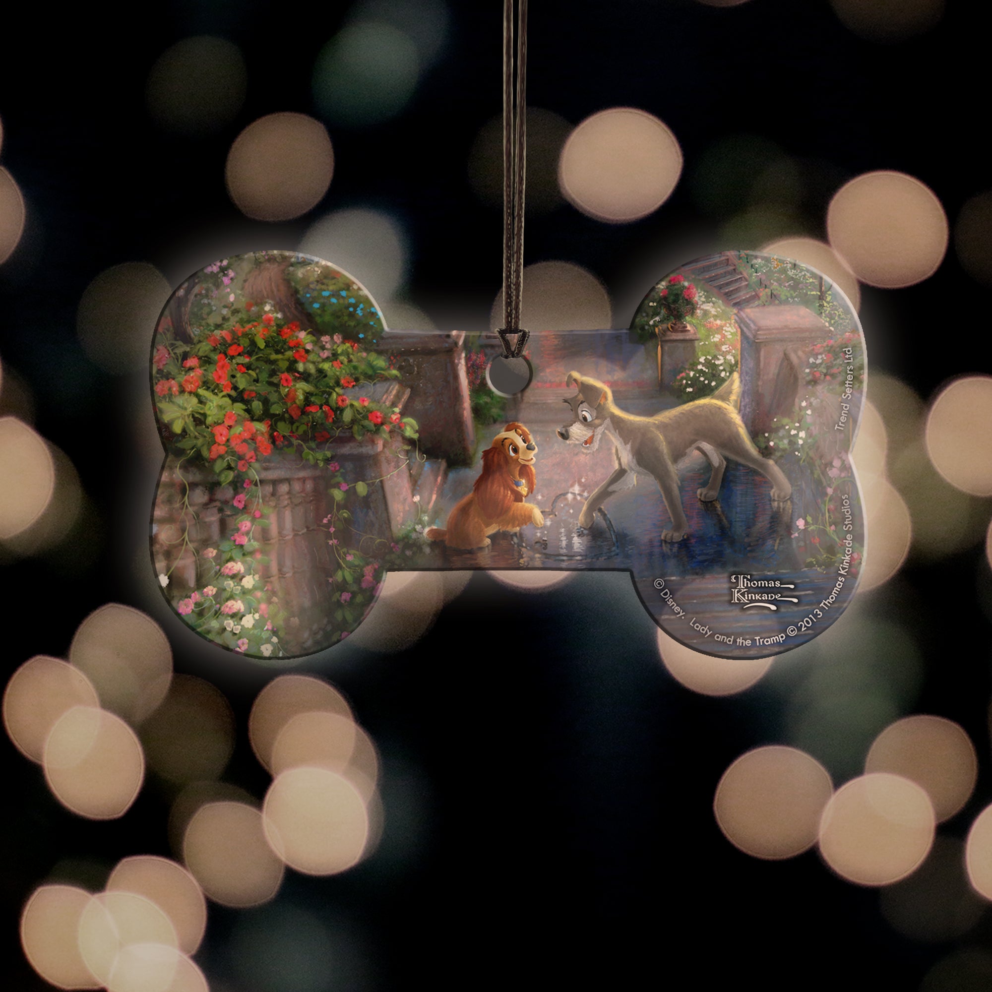 Disney (Lady and the Tramp) Hanging Acrylic Print ACPBONE189