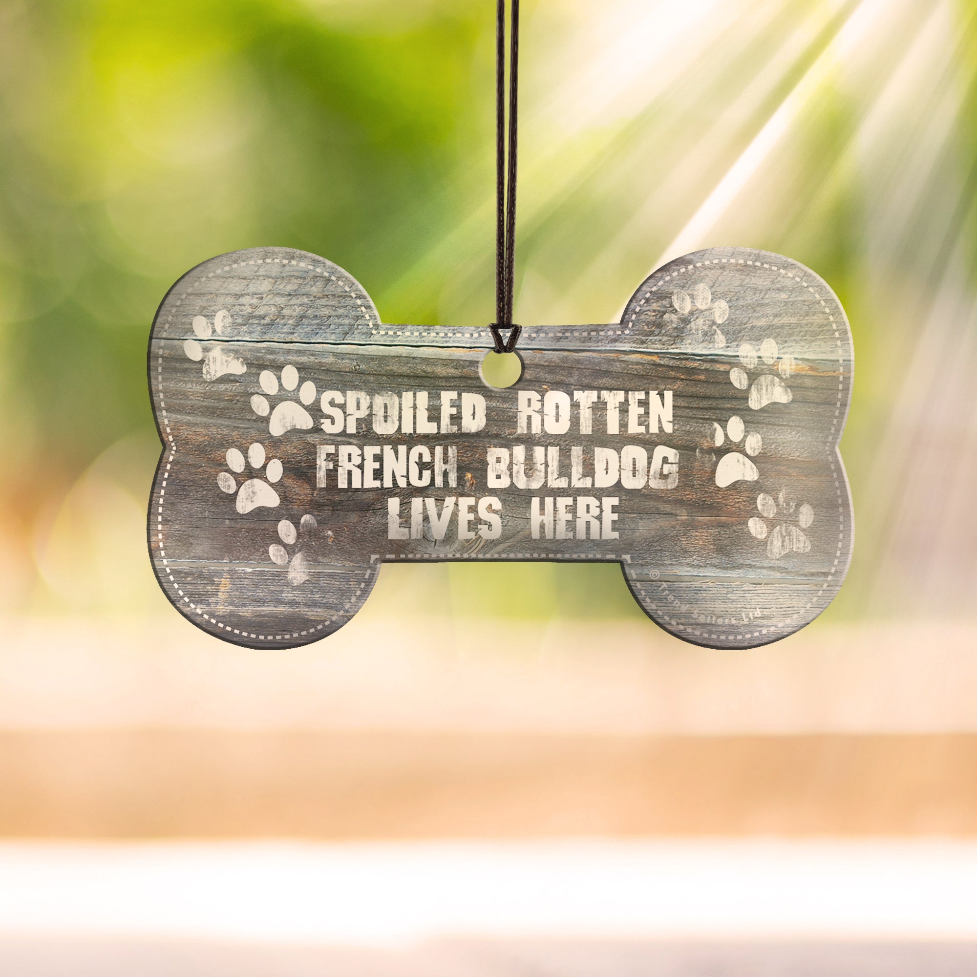 Pet Collection (Spoiled Rotten - Personalized) Hanging Acrylic Print - Add Your Photo! ACPBONE302