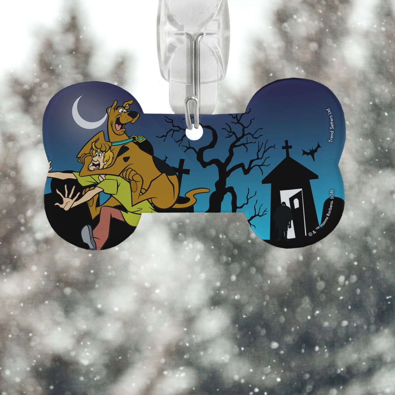 Scooby-Doo (Graveyard Danger) Bone-Shaped Acrylic Print ACPBONE339