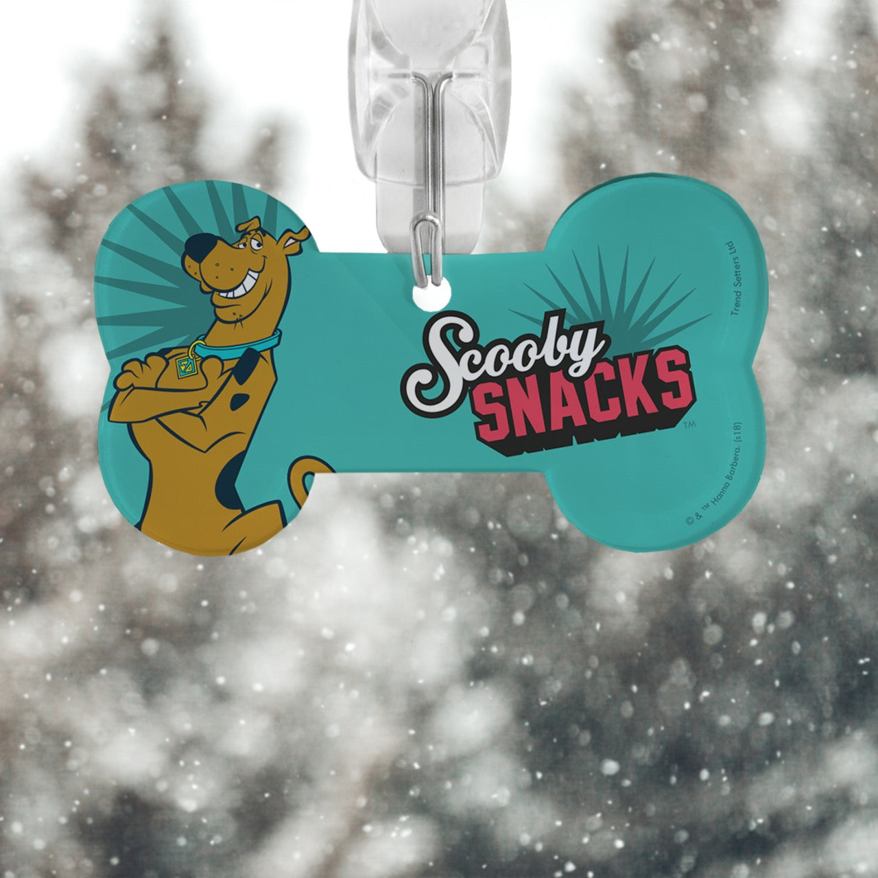 Scooby-Doo (Scooby Snacks) Bone-Shaped Acrylic Print ACPBONE341