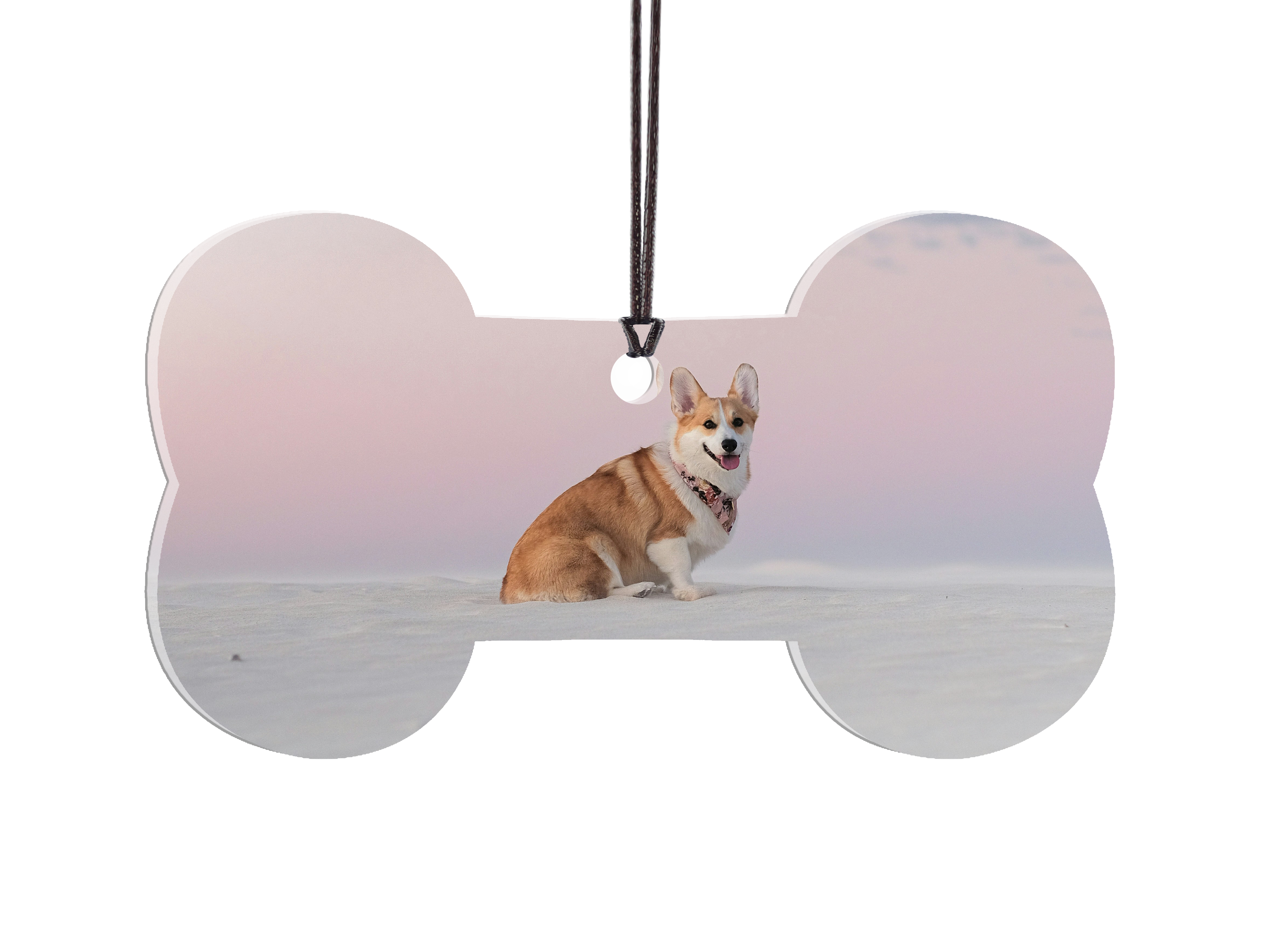 Bone Shaped Hanging Acrylic Print - Add Your Photo!