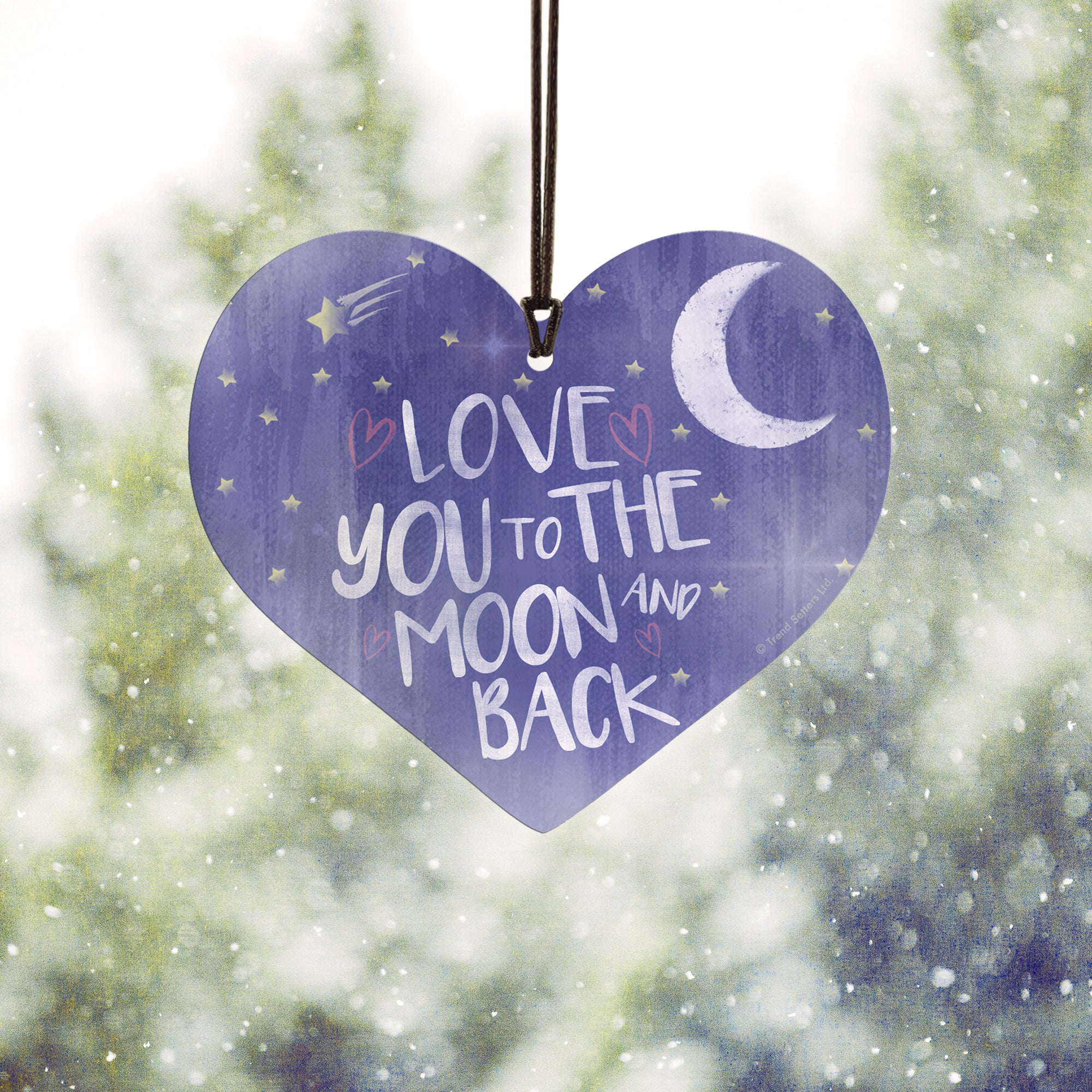 Family Collection (To the Moon and Back) Hanging Acrylic Print ACPHEART305