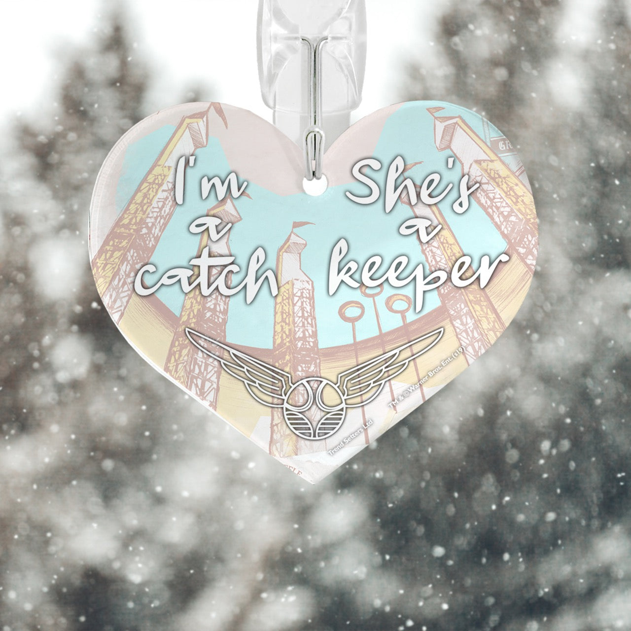 Harry Potter (I’m a Catch, She’s a Keeper) Heart-Shaped Acrylic Print ACPHEART561